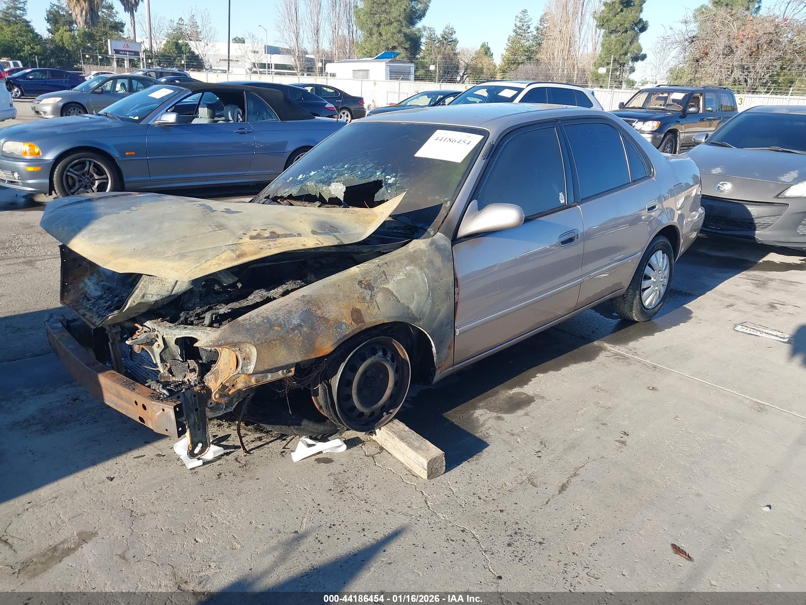 TOYOTA COROLLA image 2