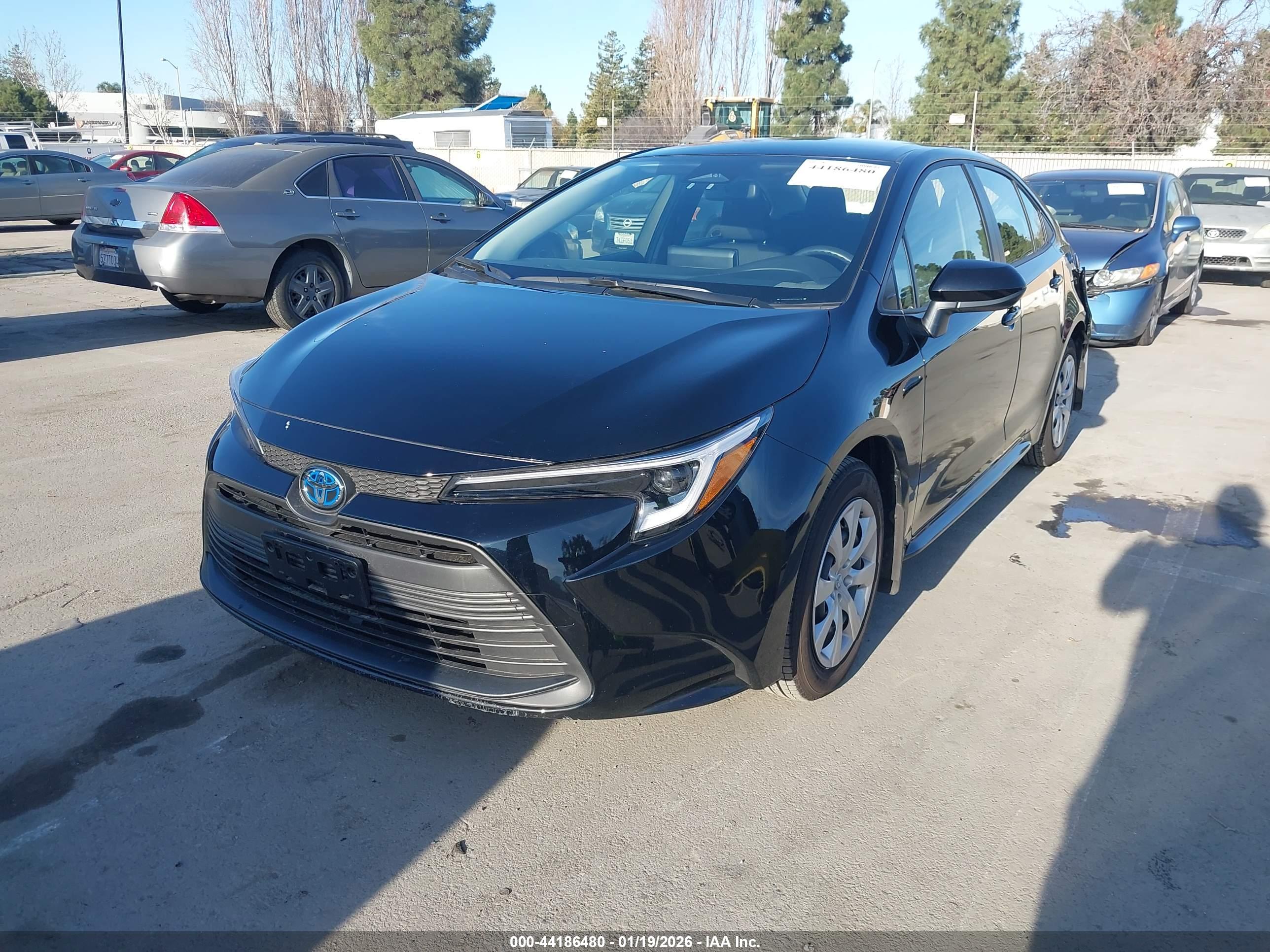 TOYOTA COROLLA image 2