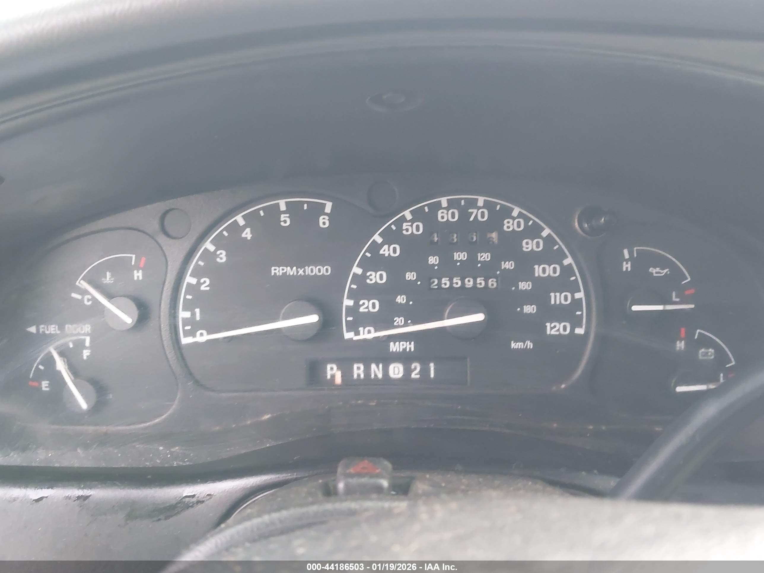 FORD RANGER image 7