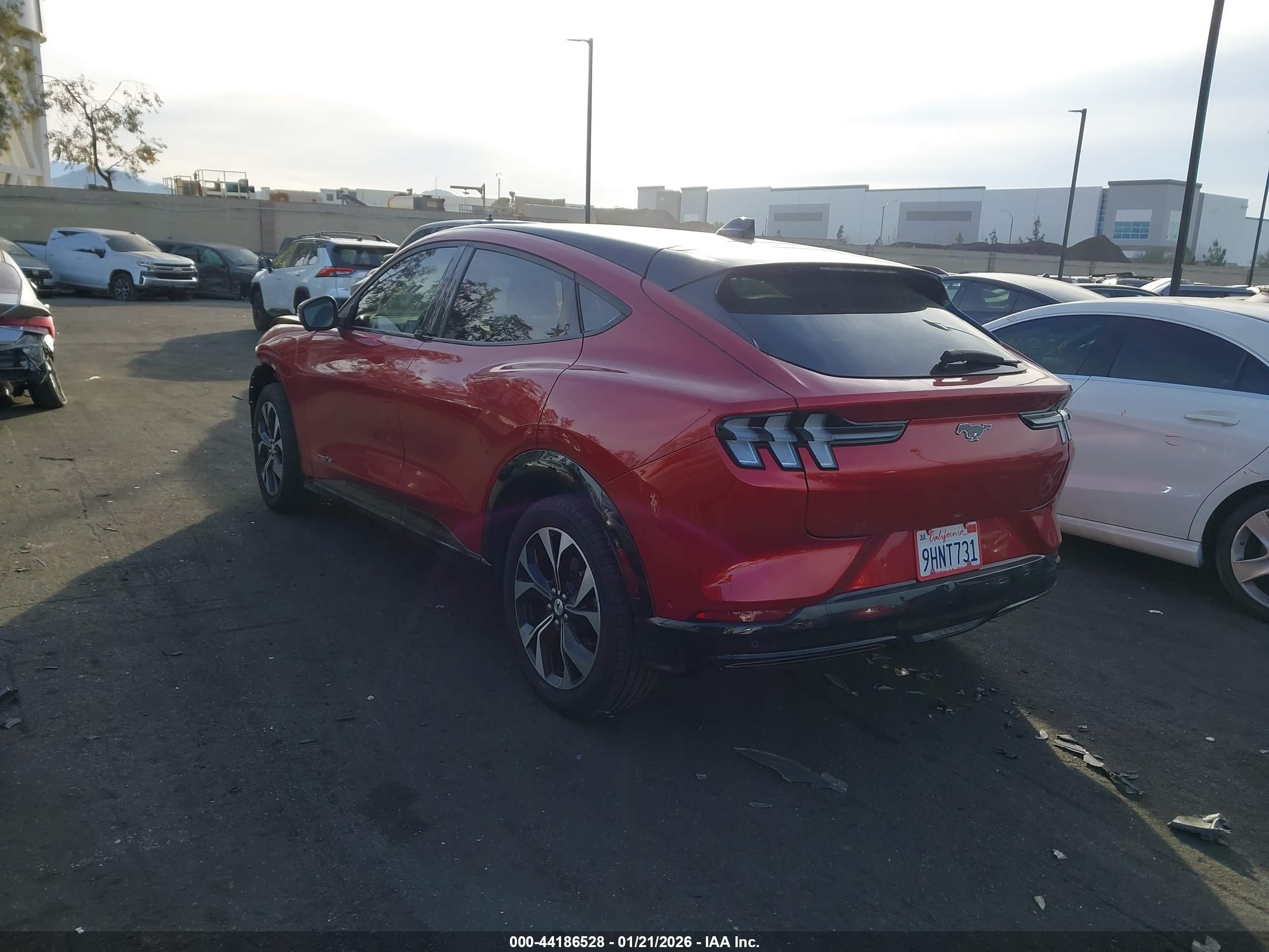 FORD MUSTANG image 3