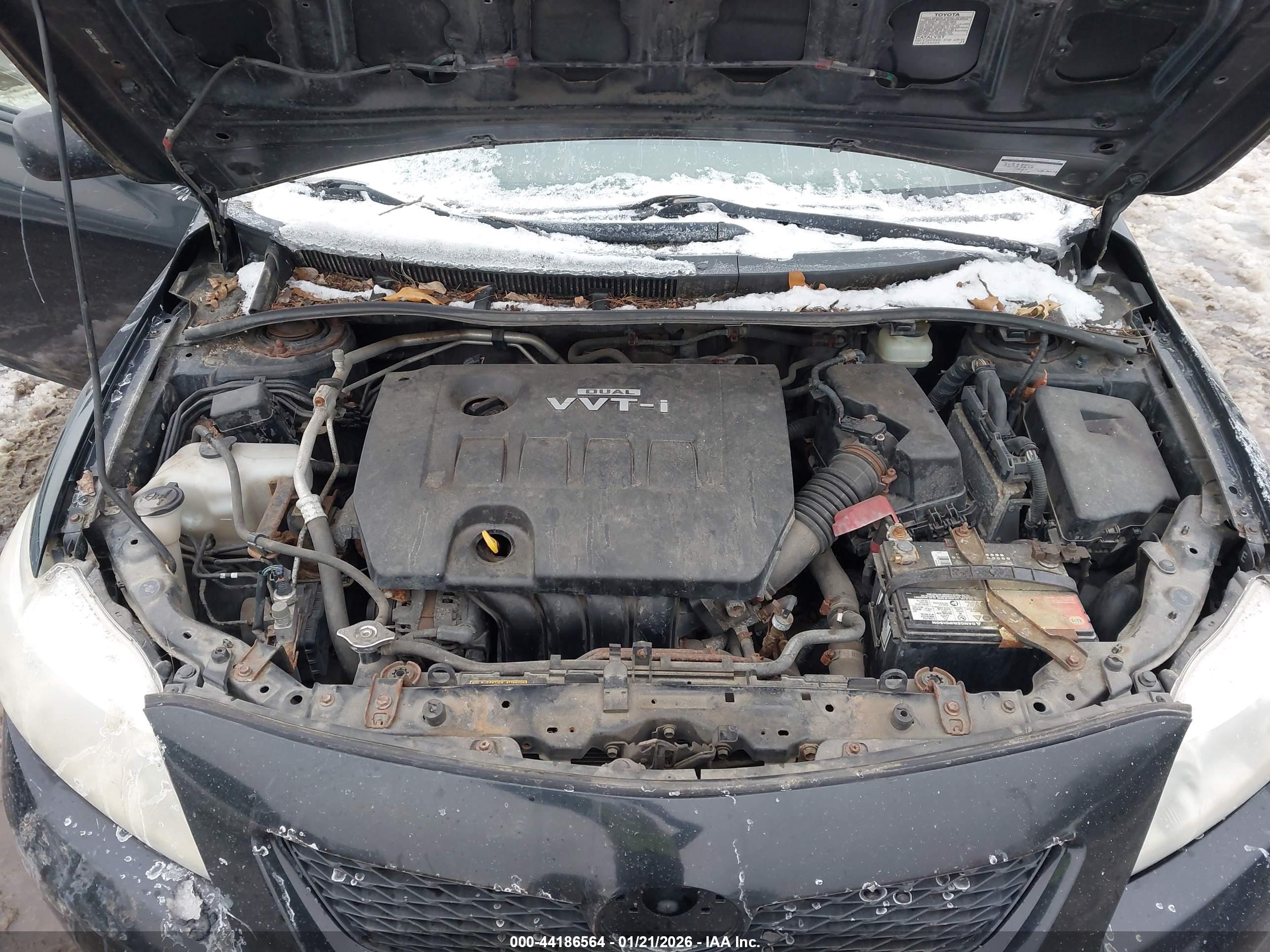 TOYOTA COROLLA image 10