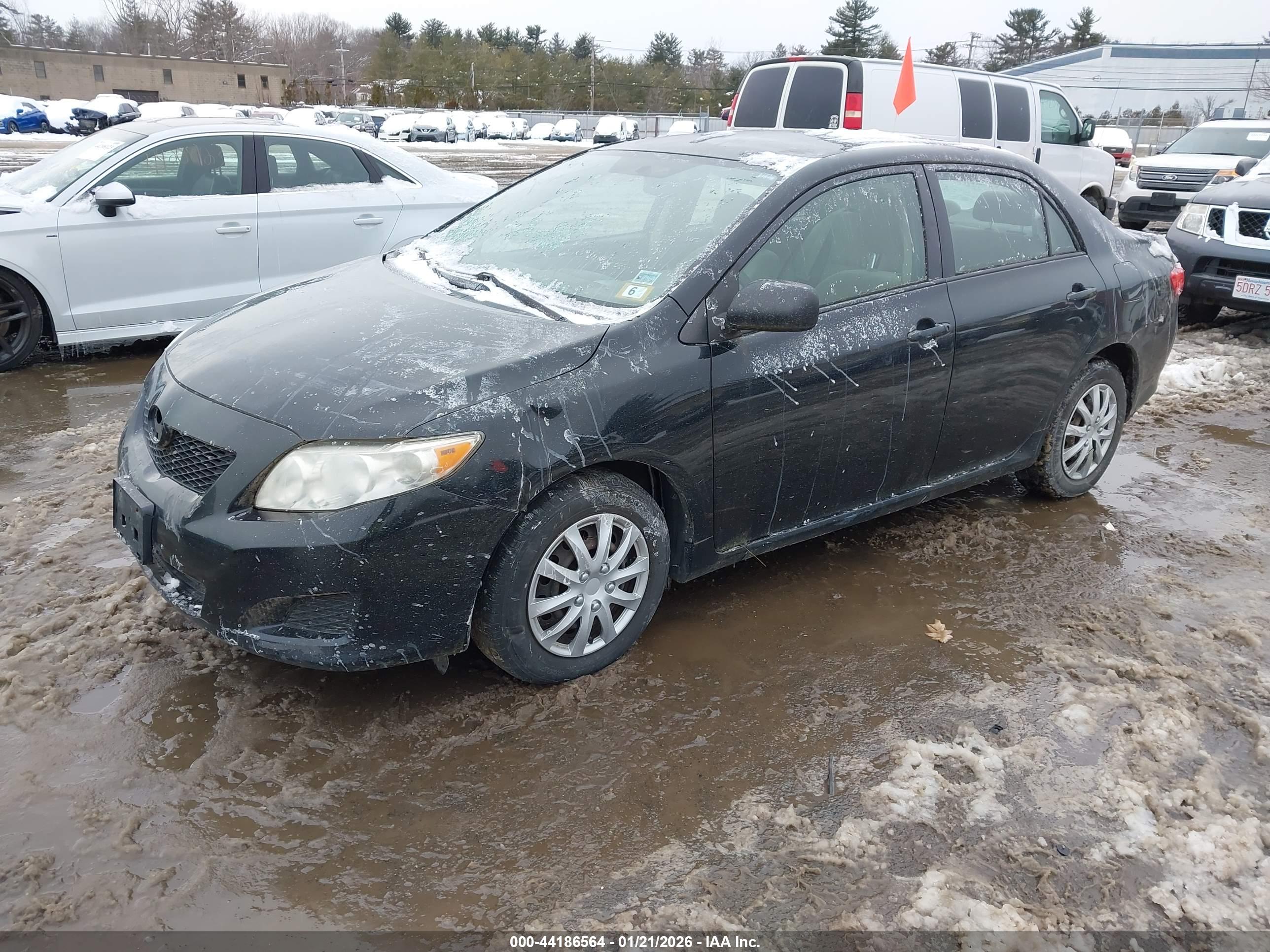 TOYOTA COROLLA image 2