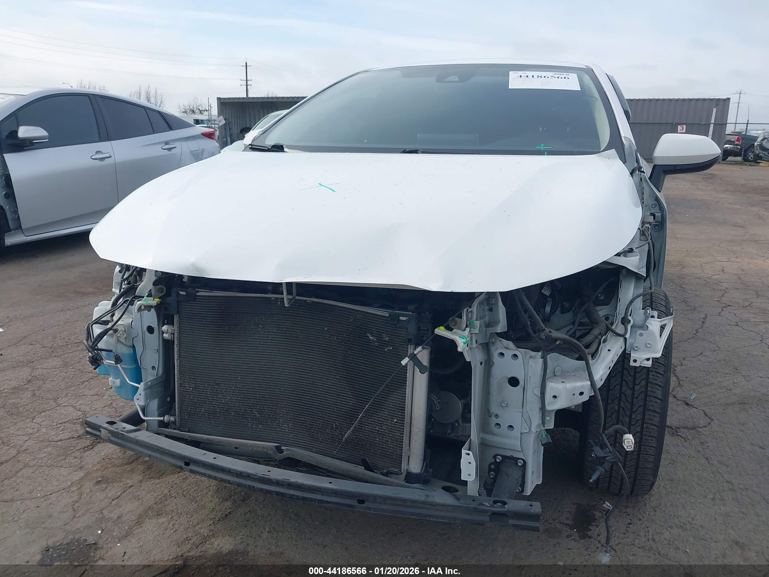 TOYOTA COROLLA image 6