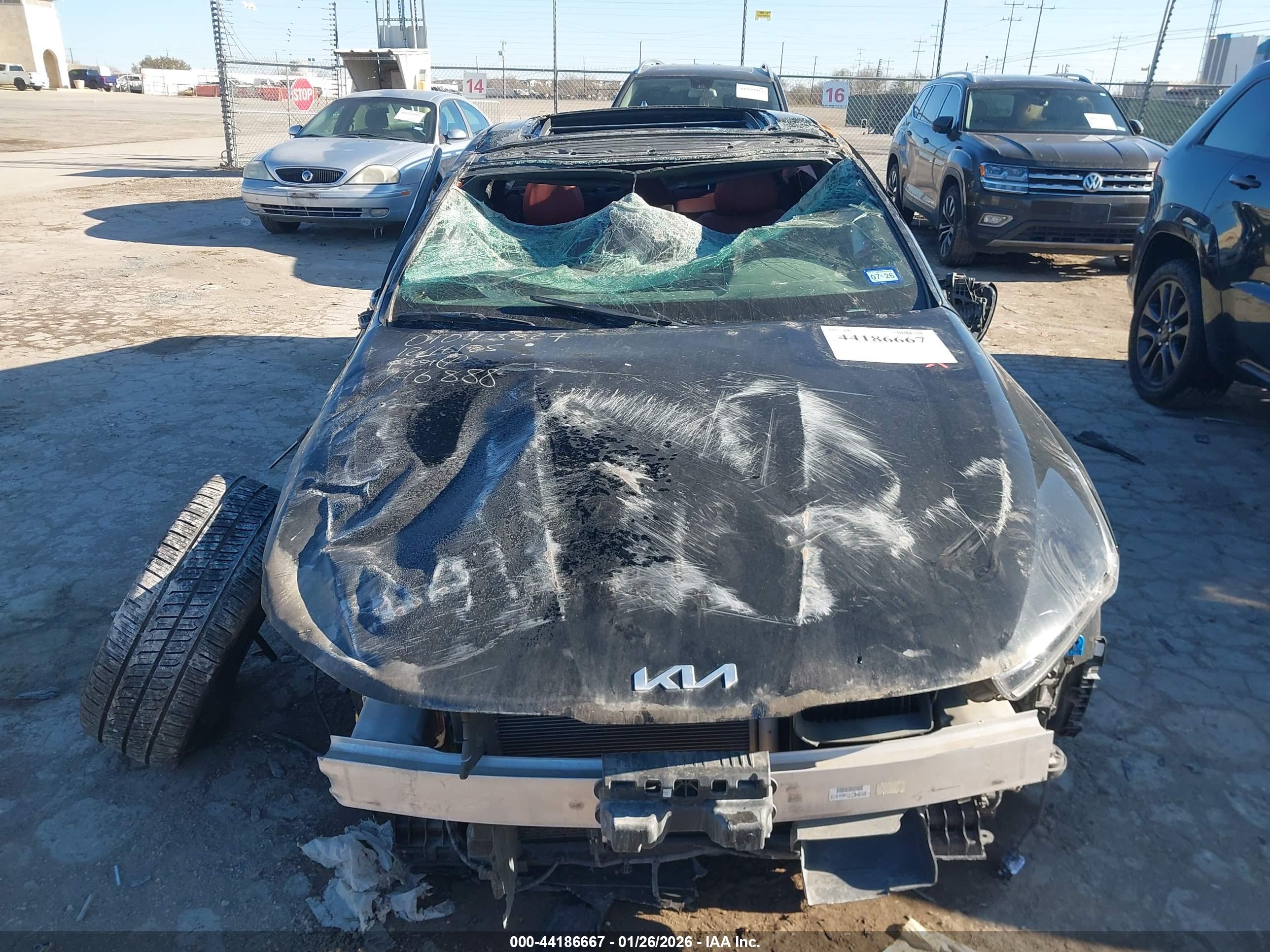 KIA K5 image 6