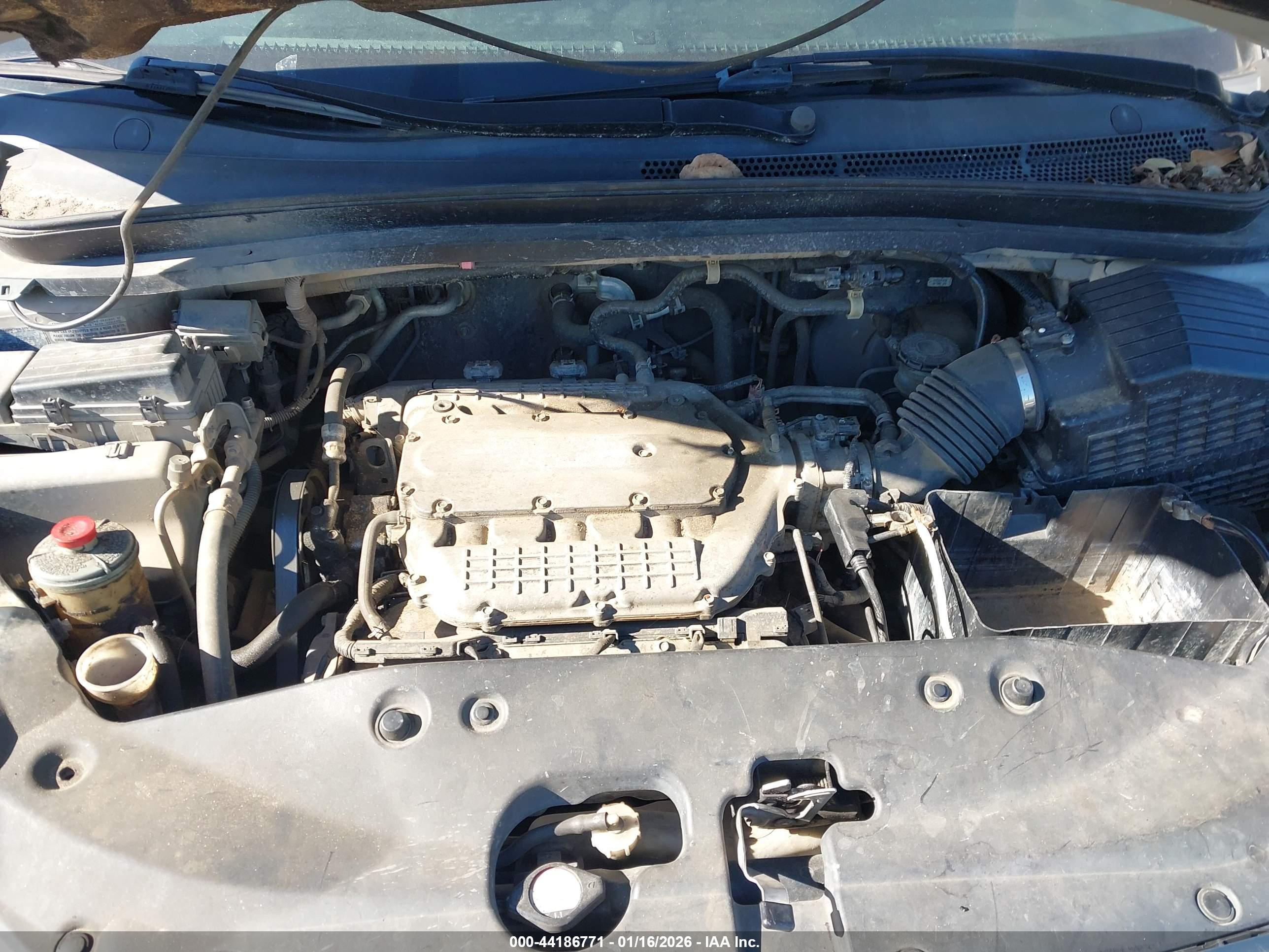 HONDA ODYSSEY image 10