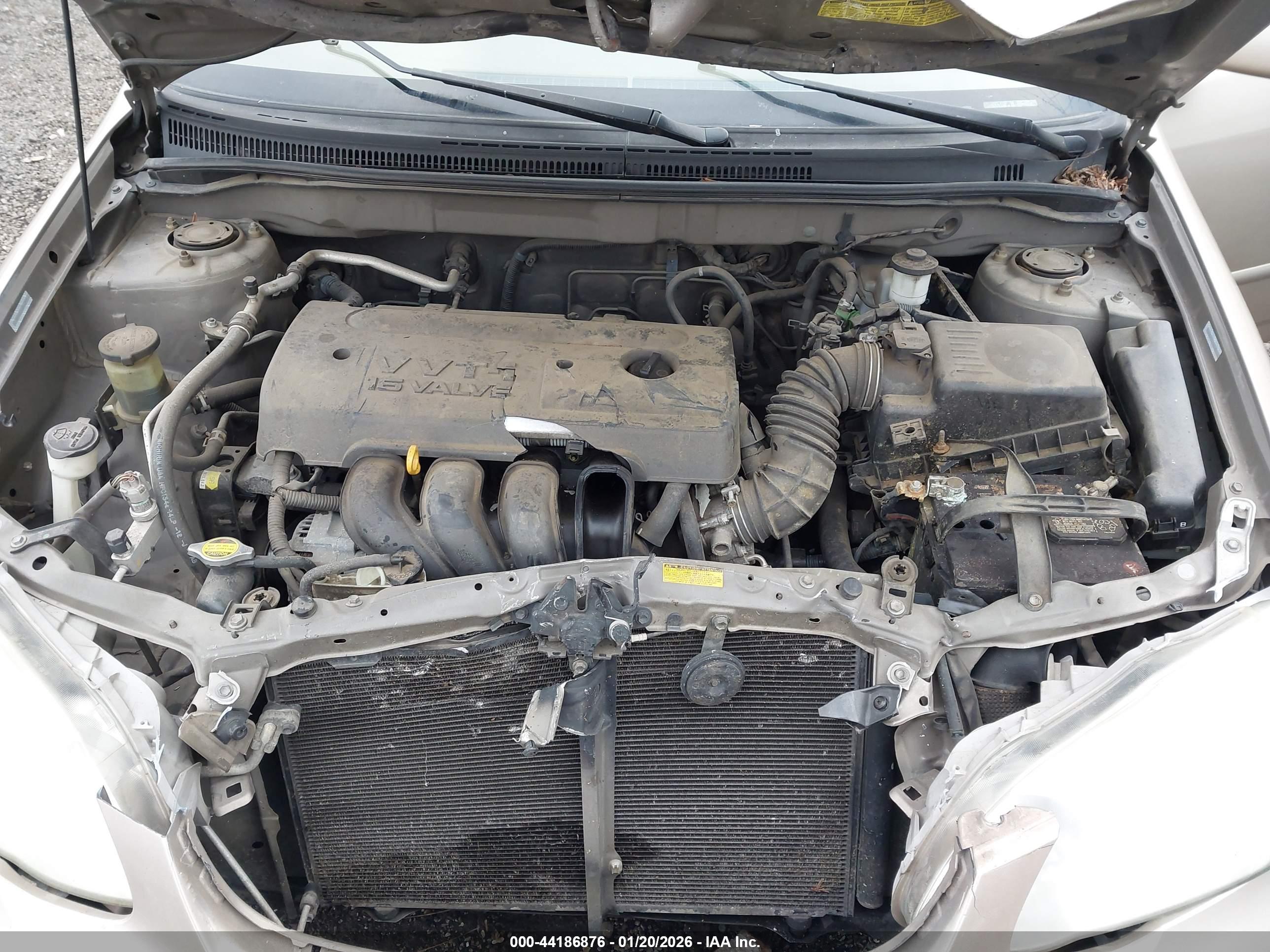 TOYOTA COROLLA image 10