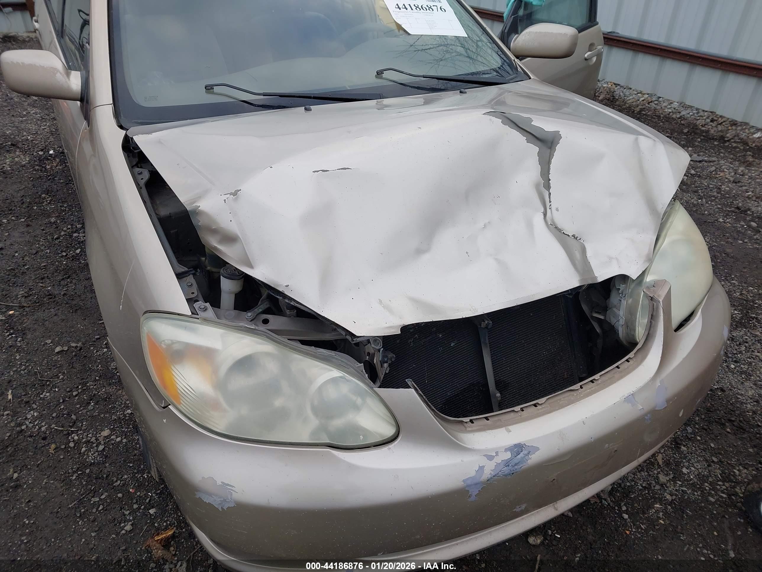 TOYOTA COROLLA image 6