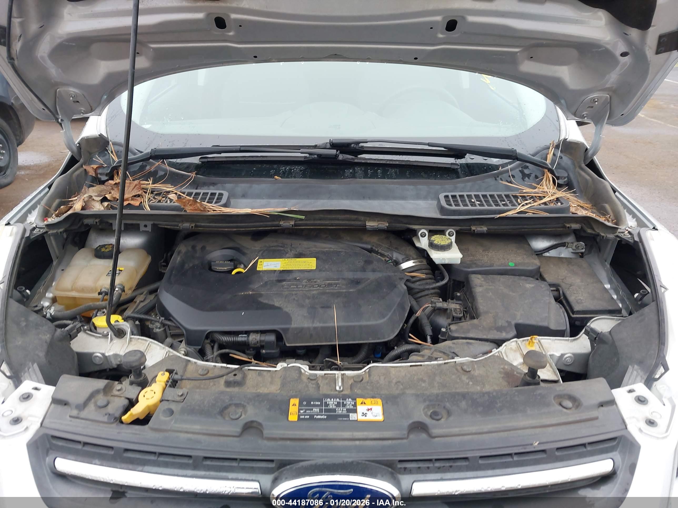 FORD ESCAPE image 10