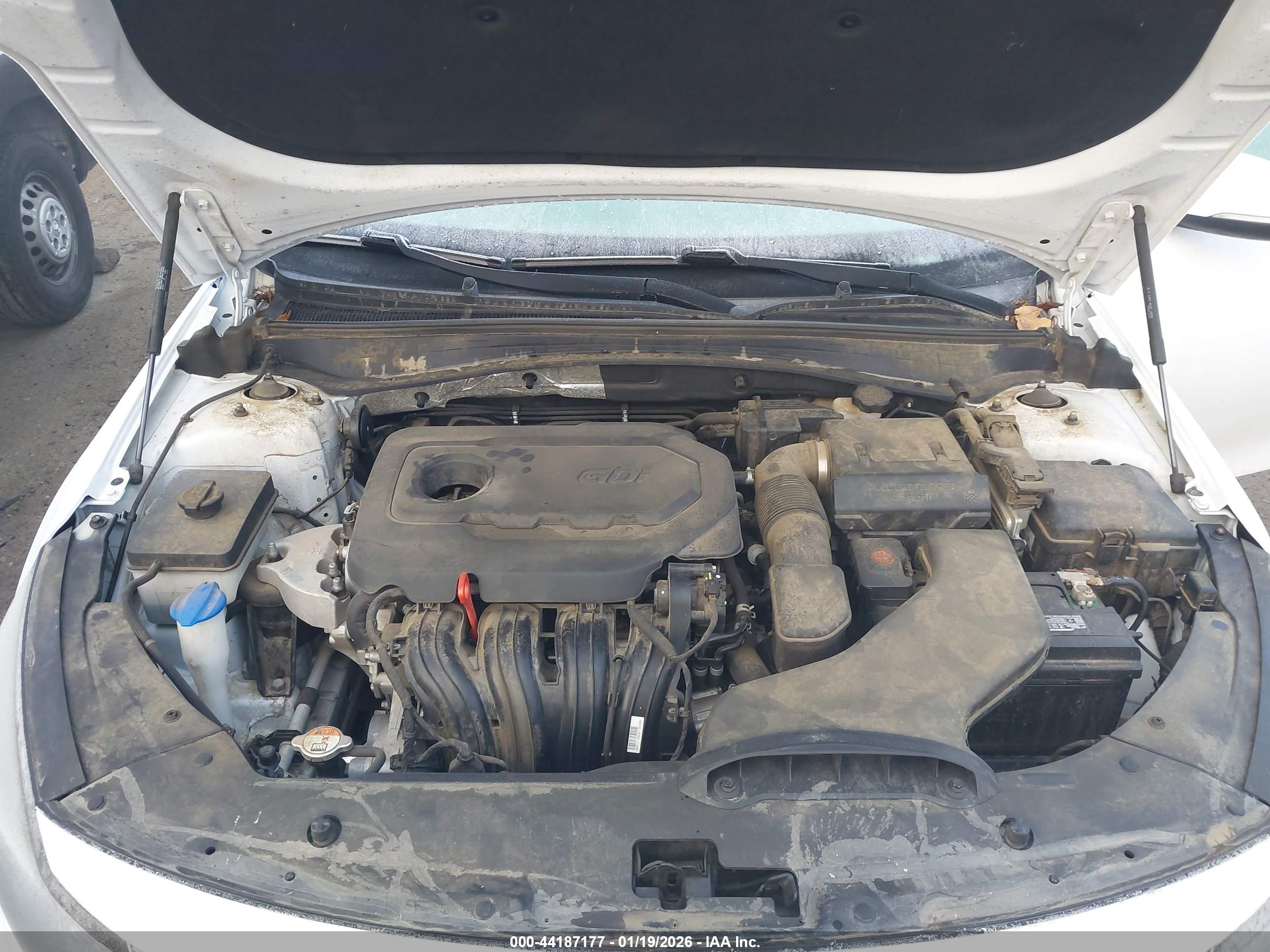 KIA OPTIMA image 10