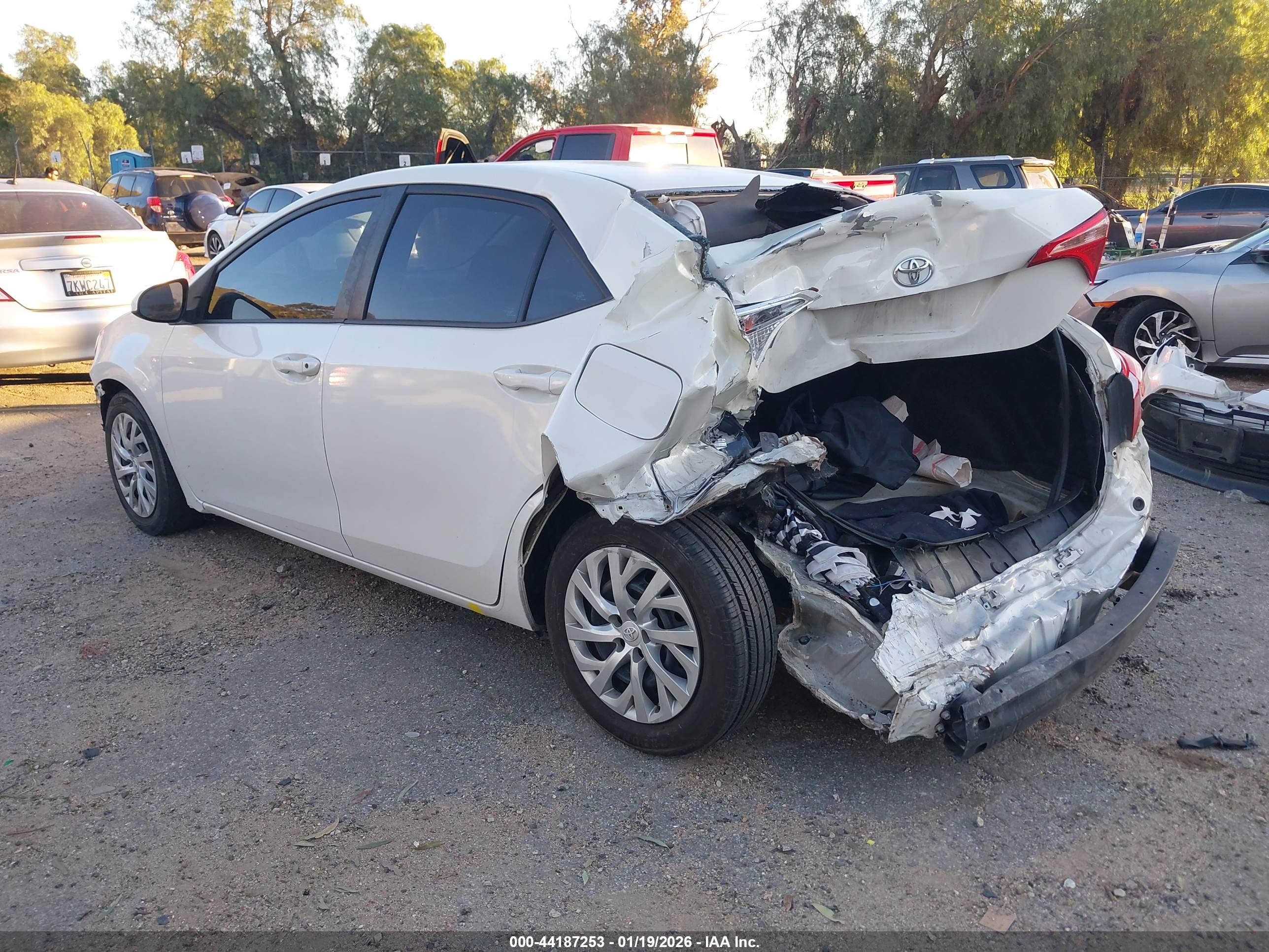 TOYOTA COROLLA image 3