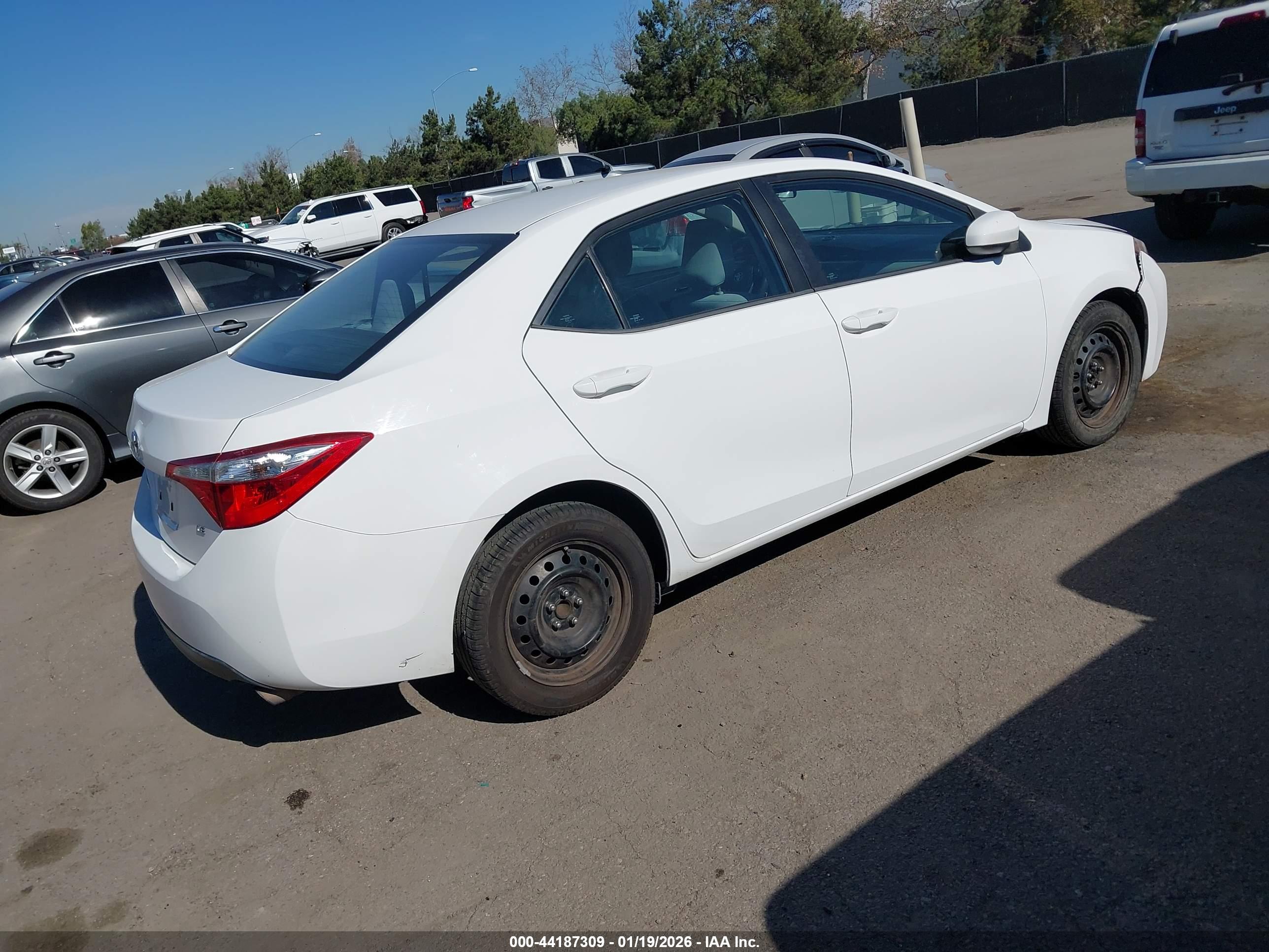 TOYOTA COROLLA image 4
