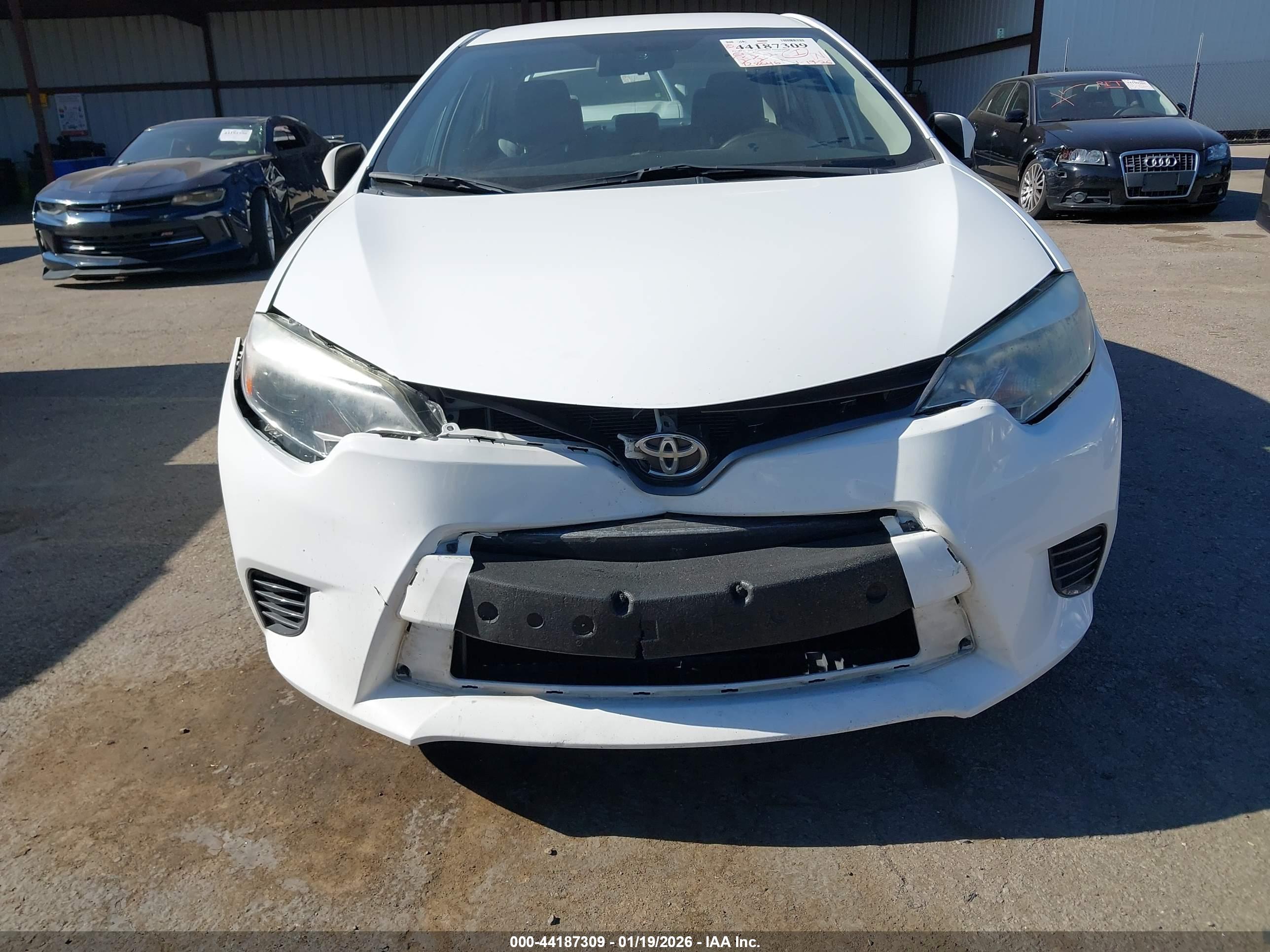 TOYOTA COROLLA image 6
