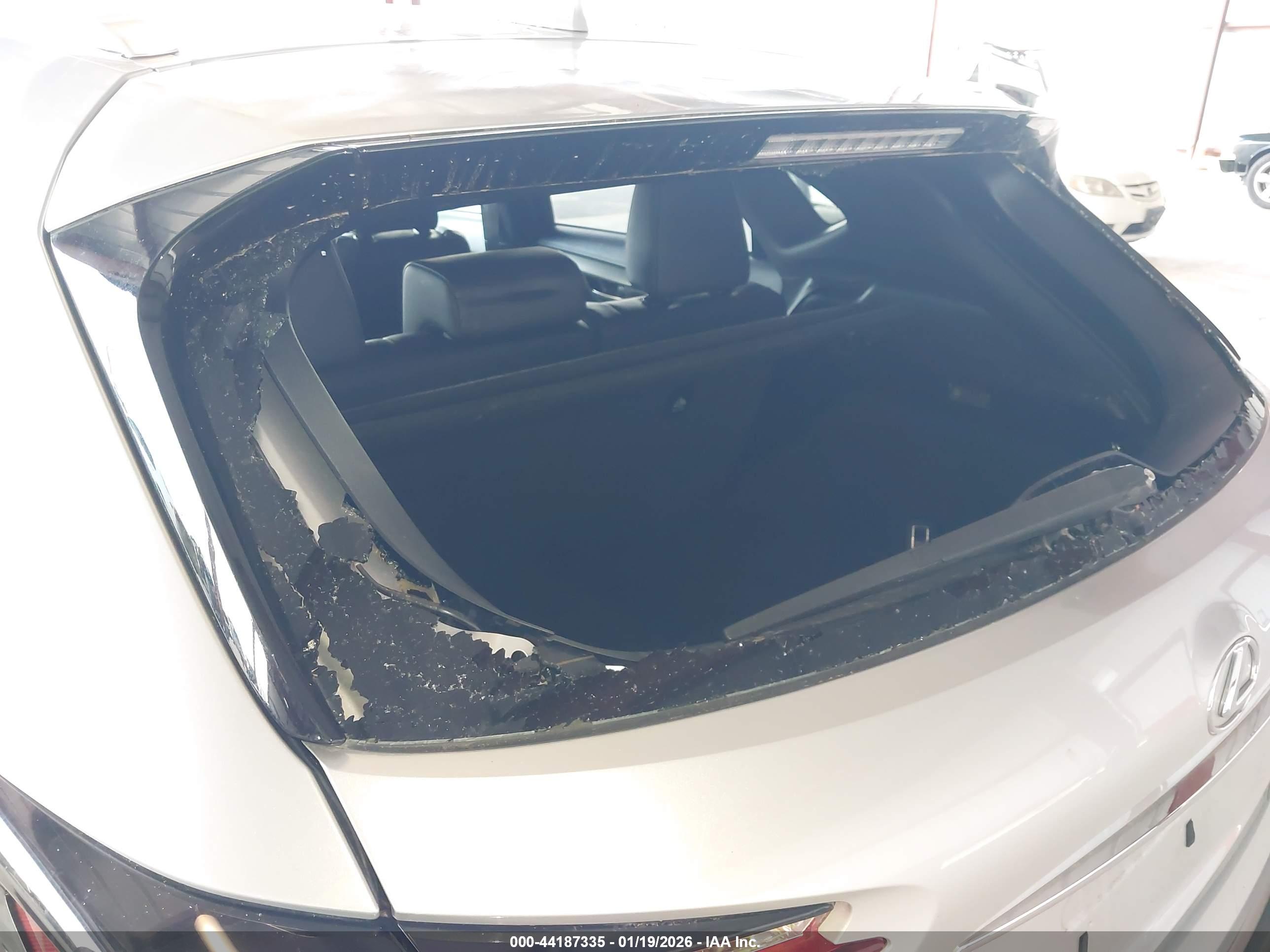 LEXUS NX image 6