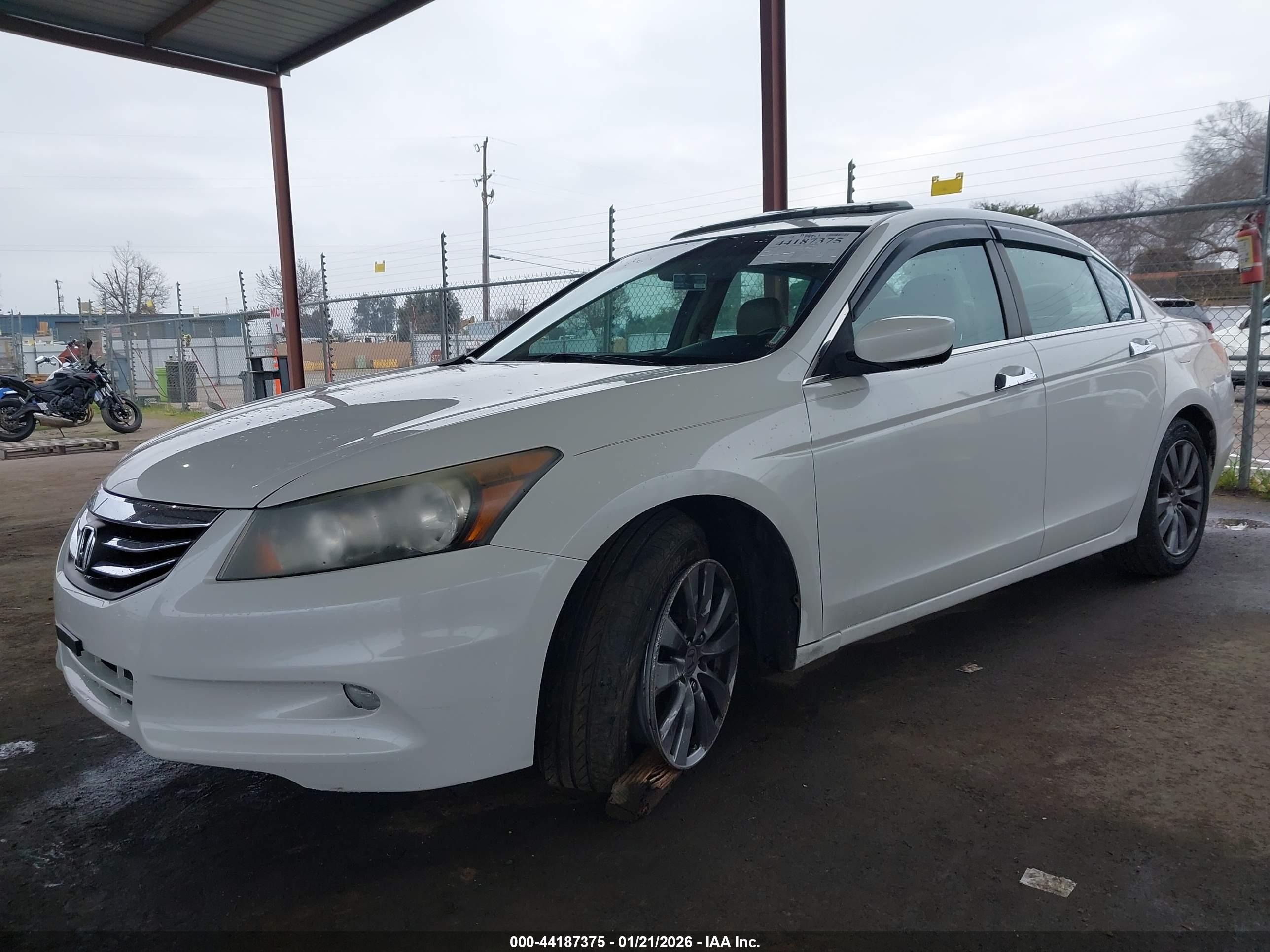 HONDA ACCORD image 2