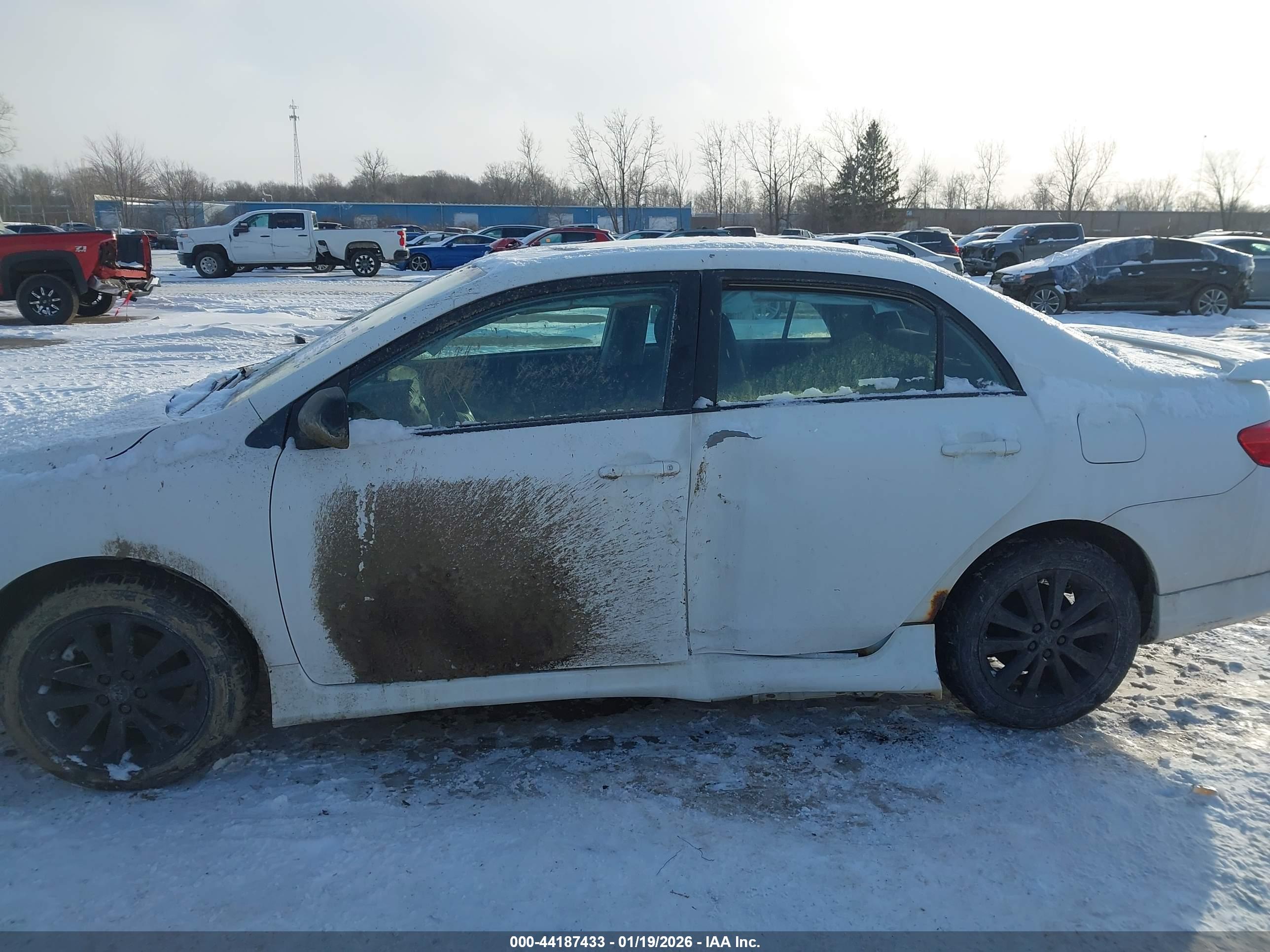 TOYOTA COROLLA image 6
