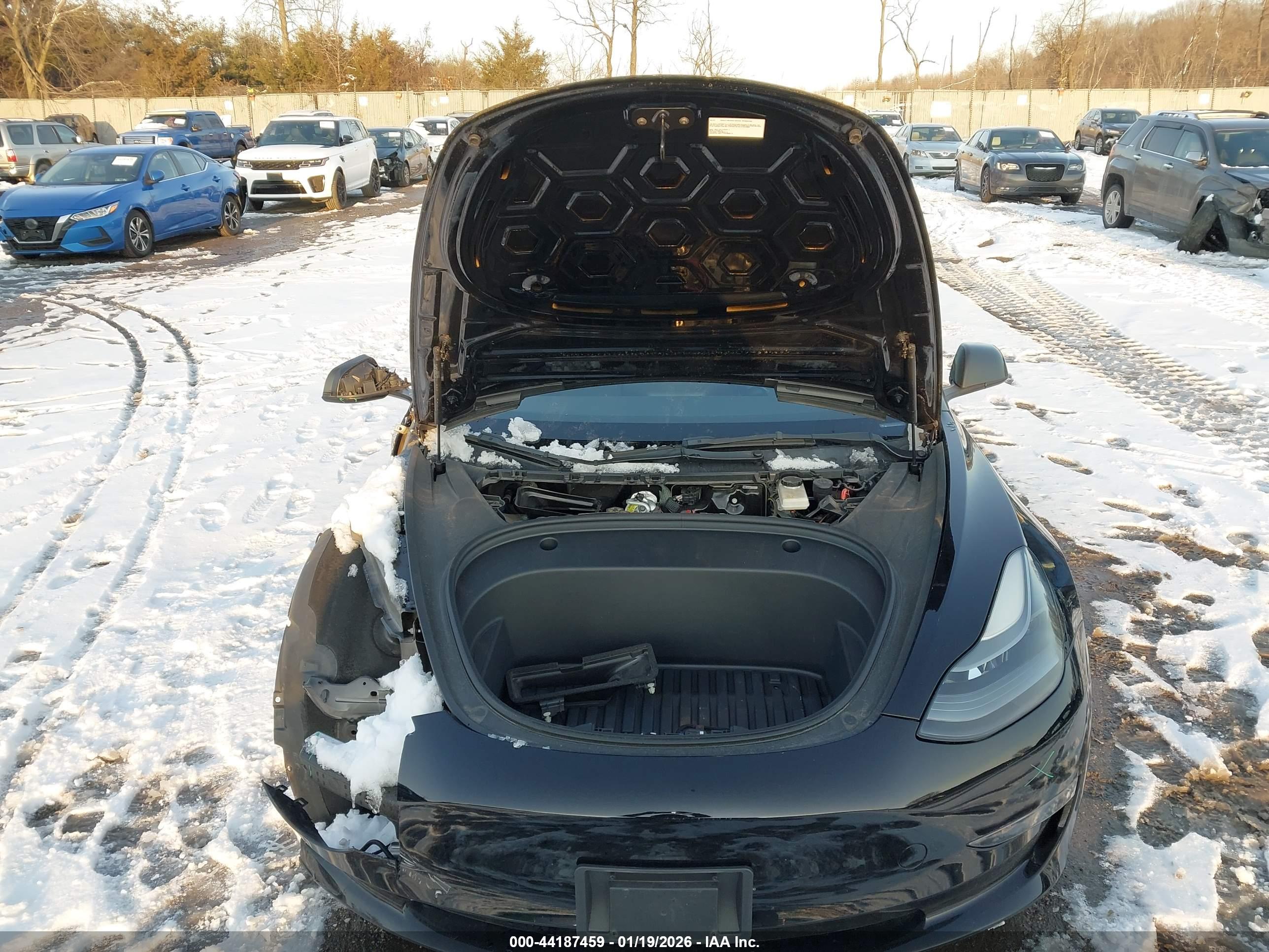 TESLA MODEL image 10