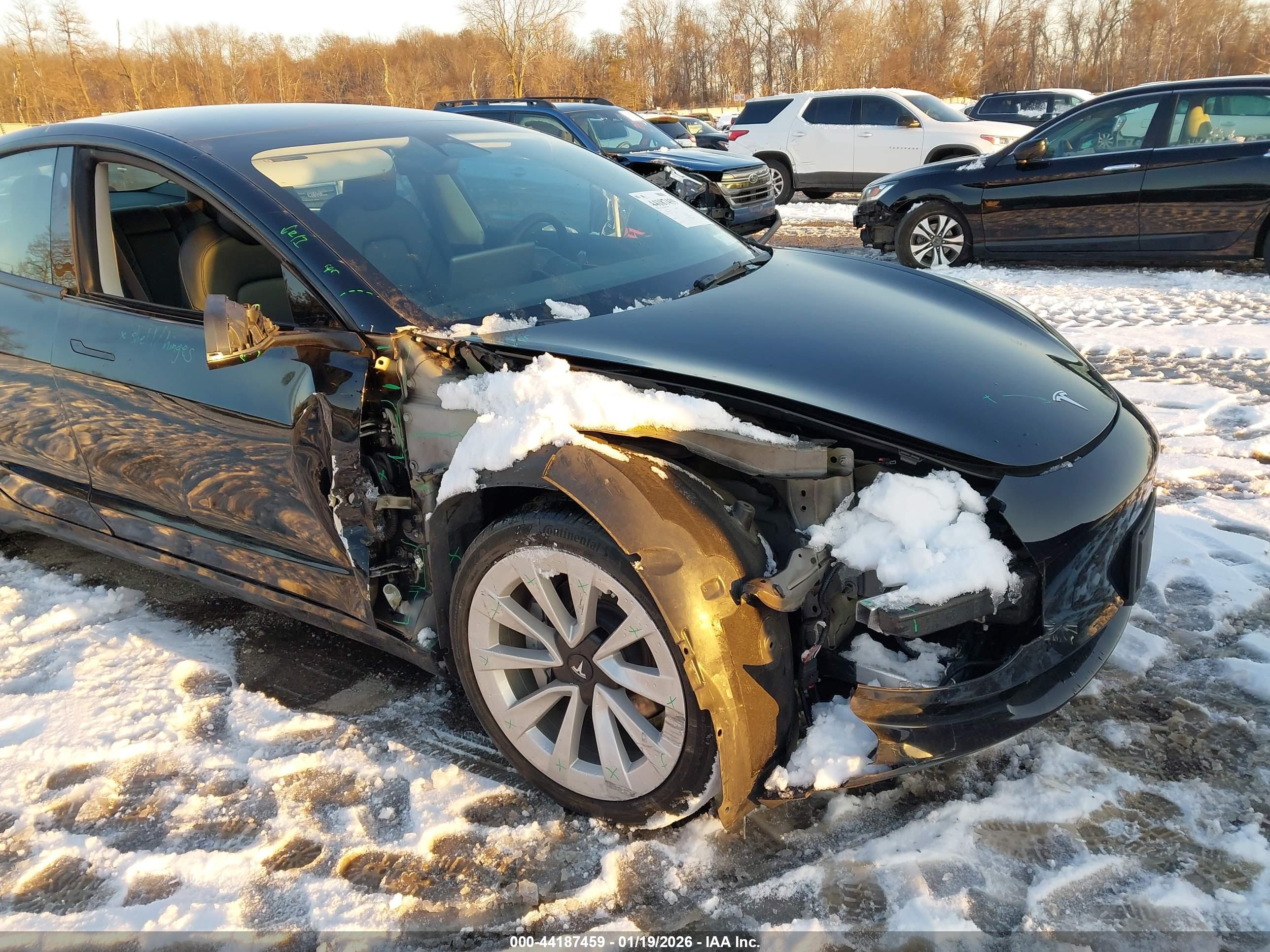 TESLA MODEL image 6