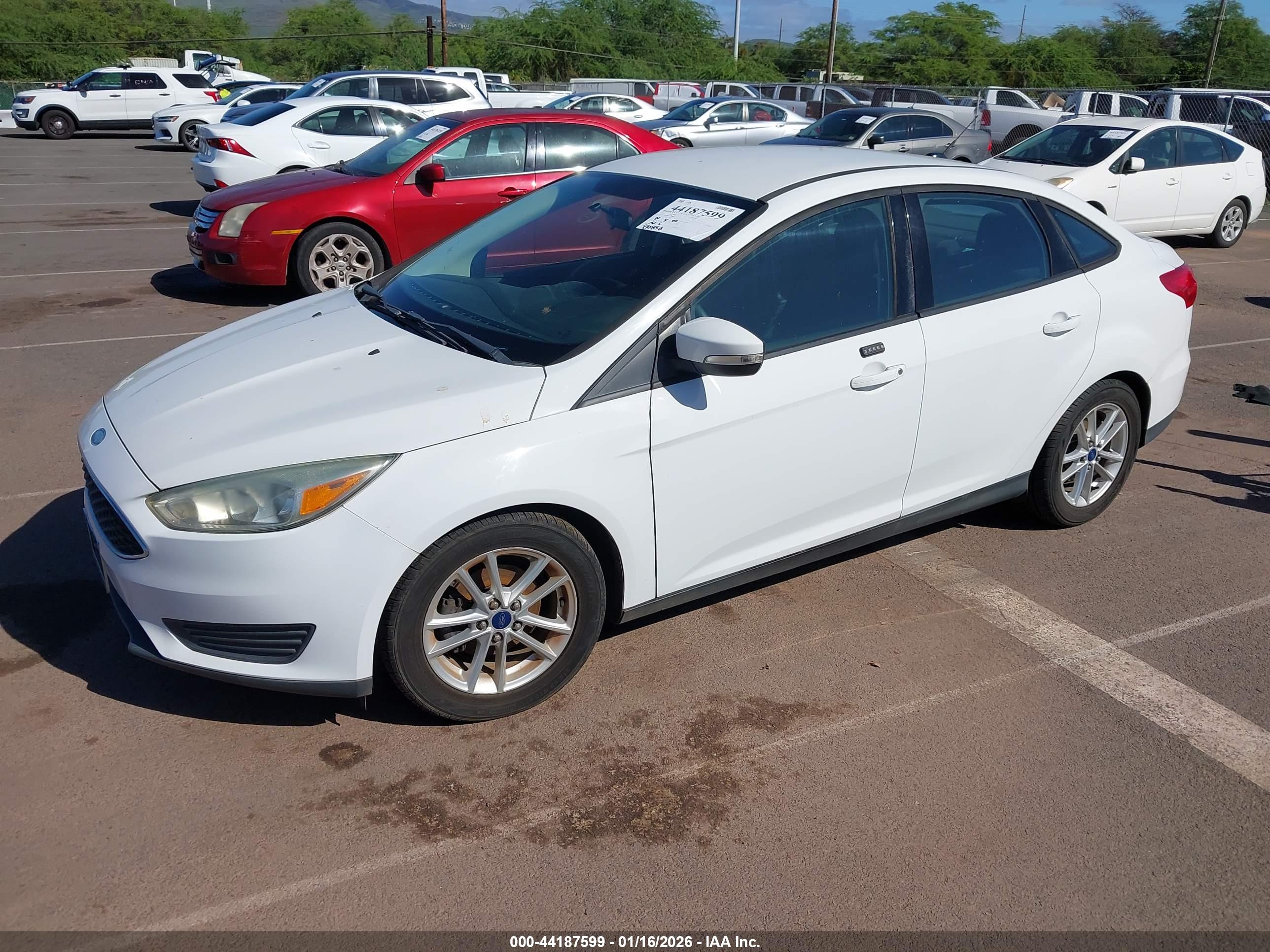FORD FOCUS image 2