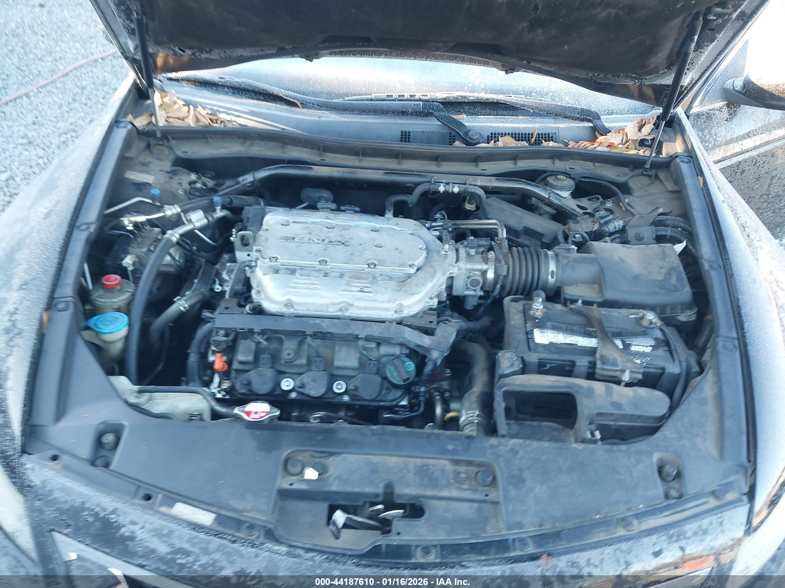 HONDA ACCORD image 10