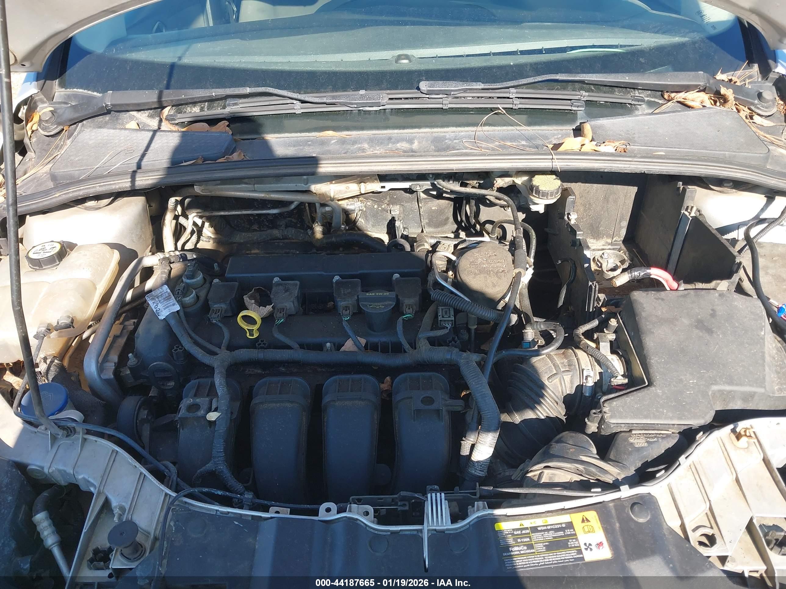 FORD FOCUS image 10