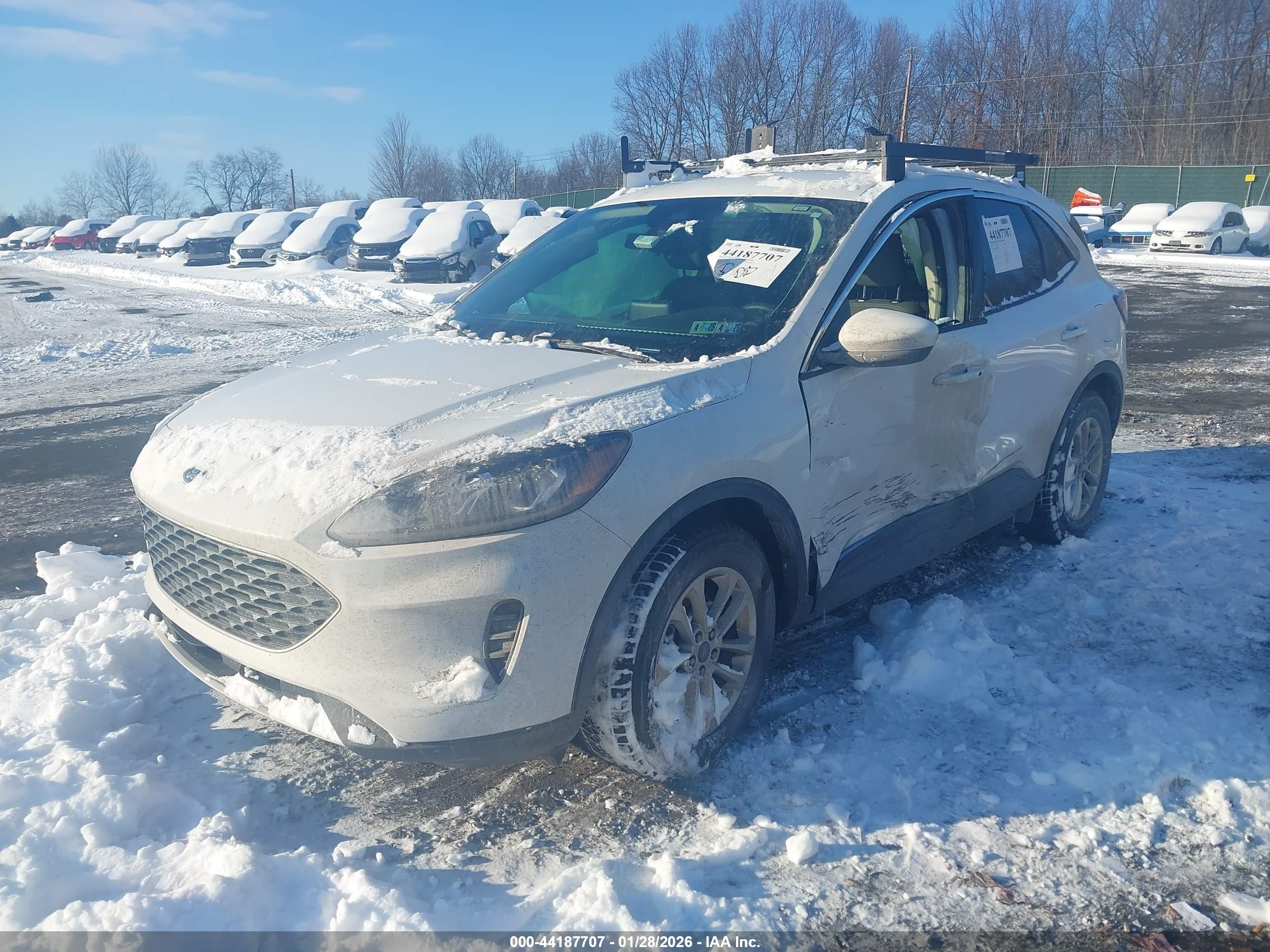 FORD ESCAPE image 2