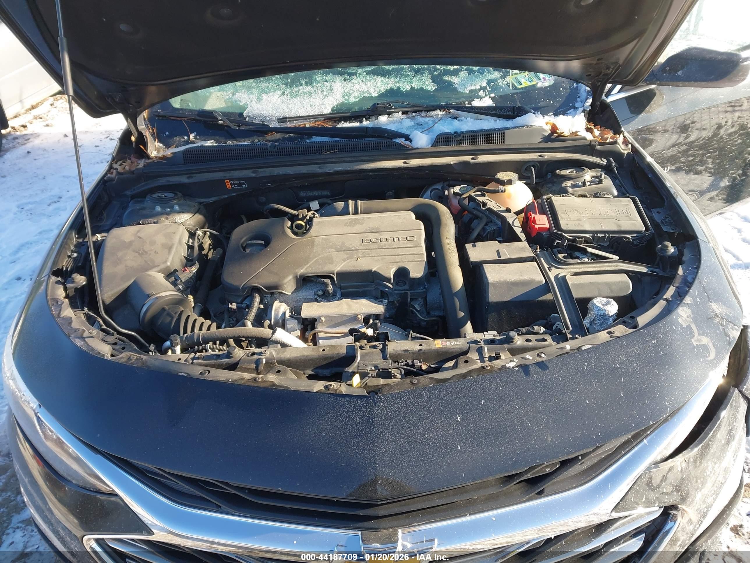 CHEVROLET MALIBU image 10