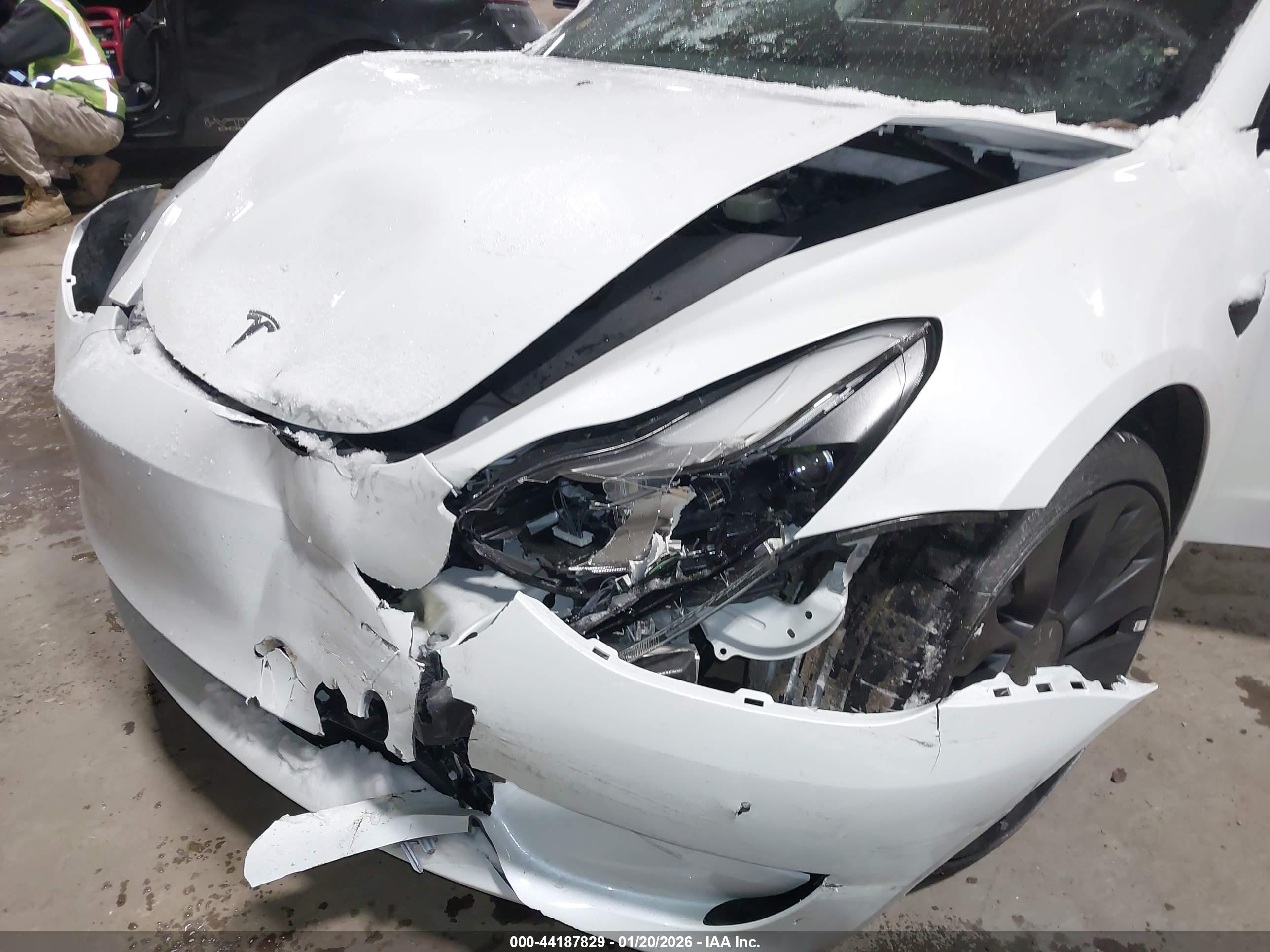 TESLA MODEL image 6