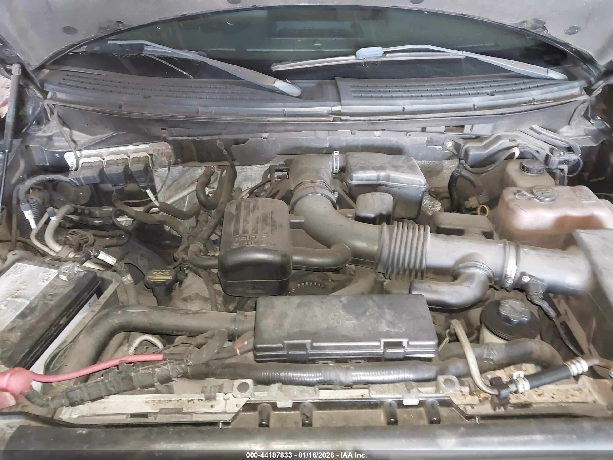 FORD F-150 image 10