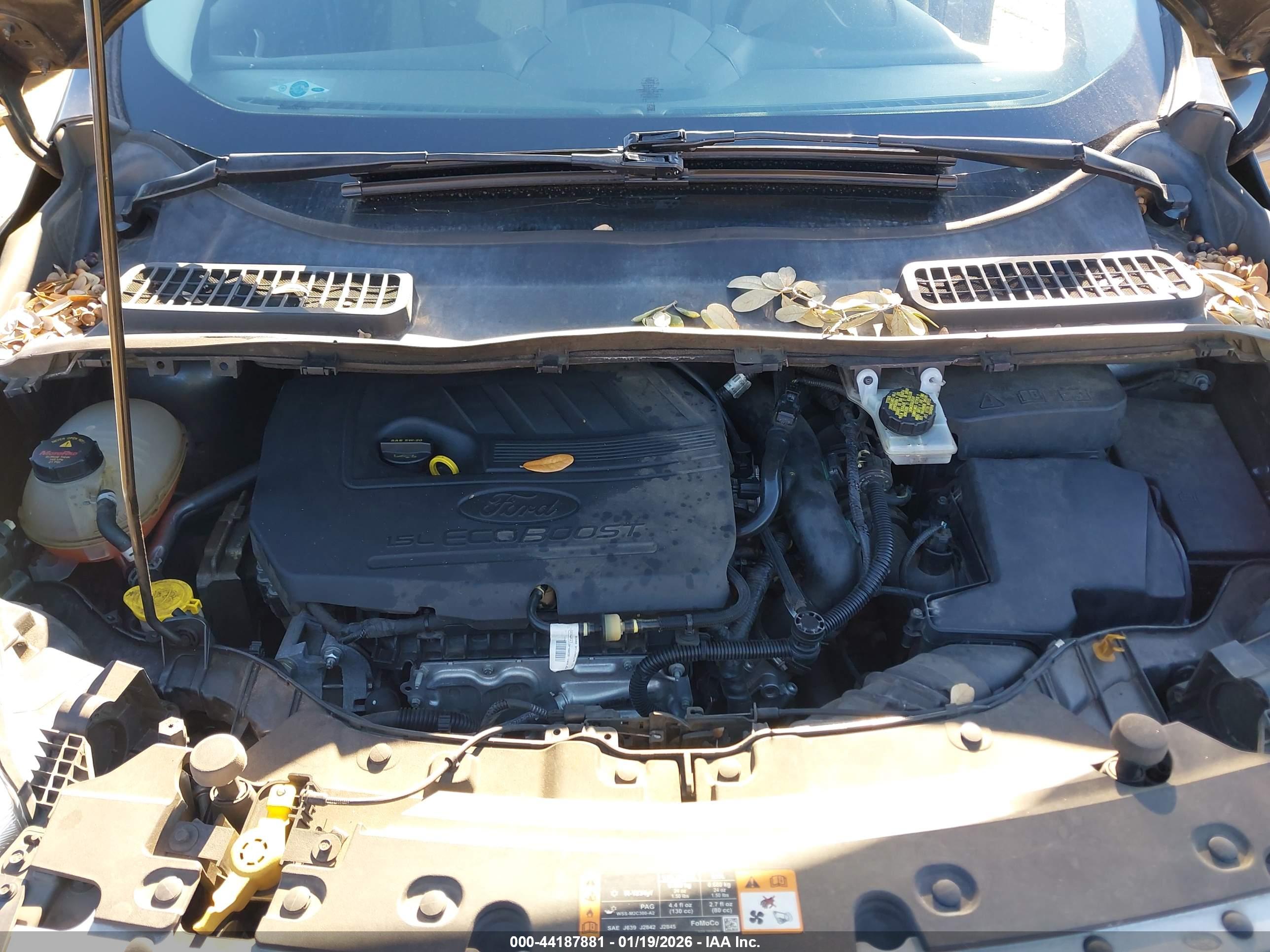 FORD ESCAPE image 10