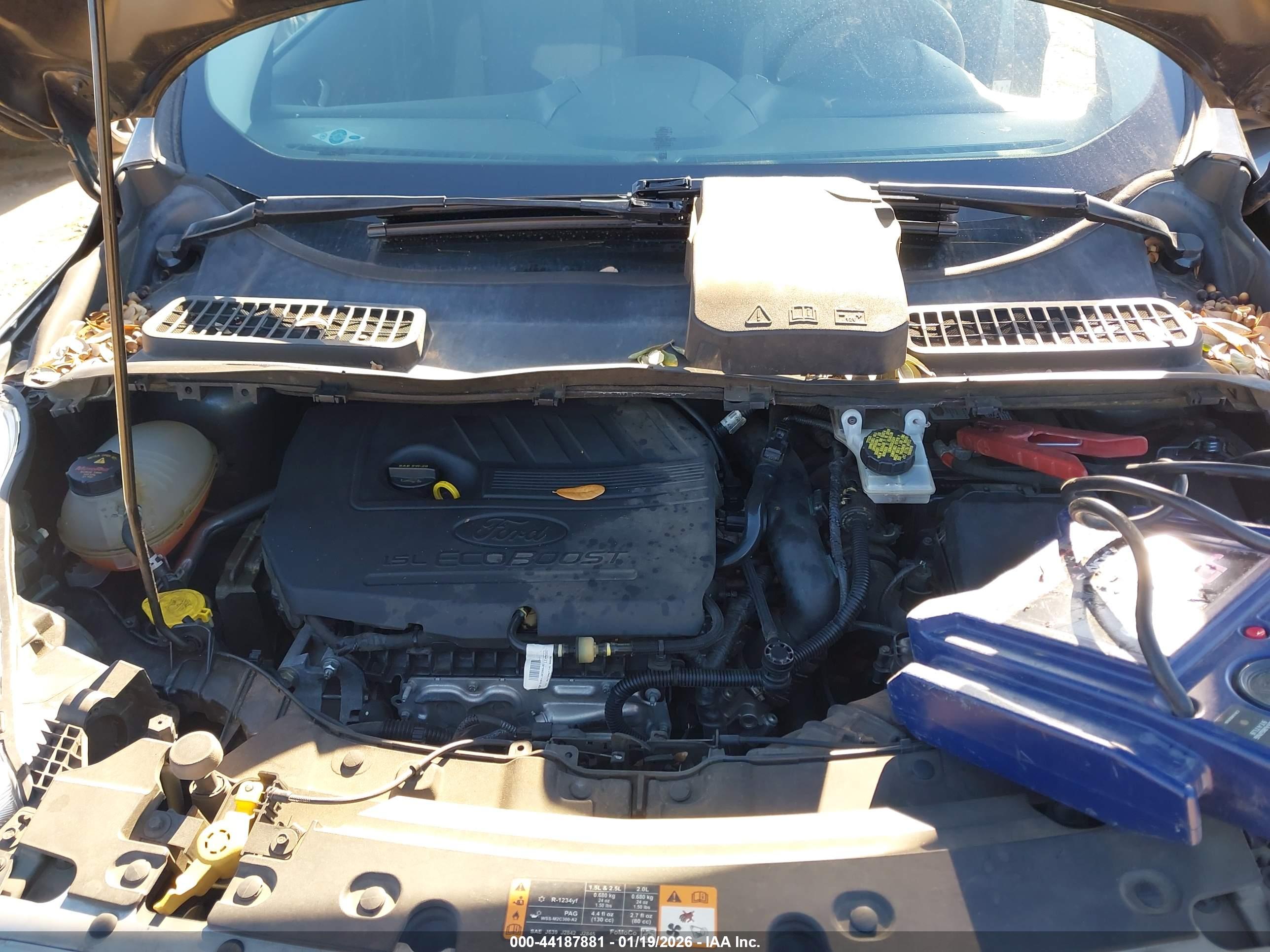 FORD ESCAPE image 6