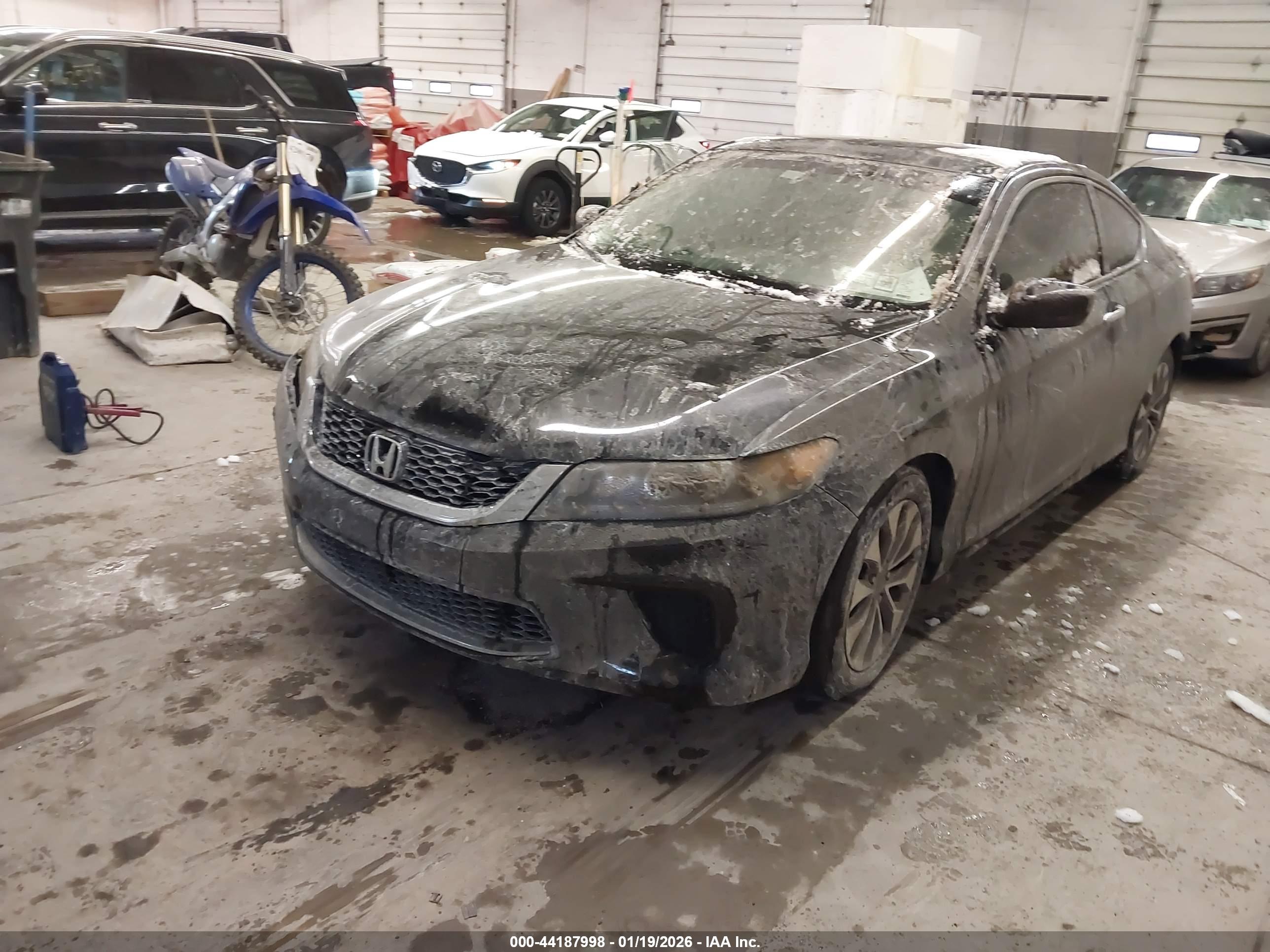 HONDA ACCORD image 2