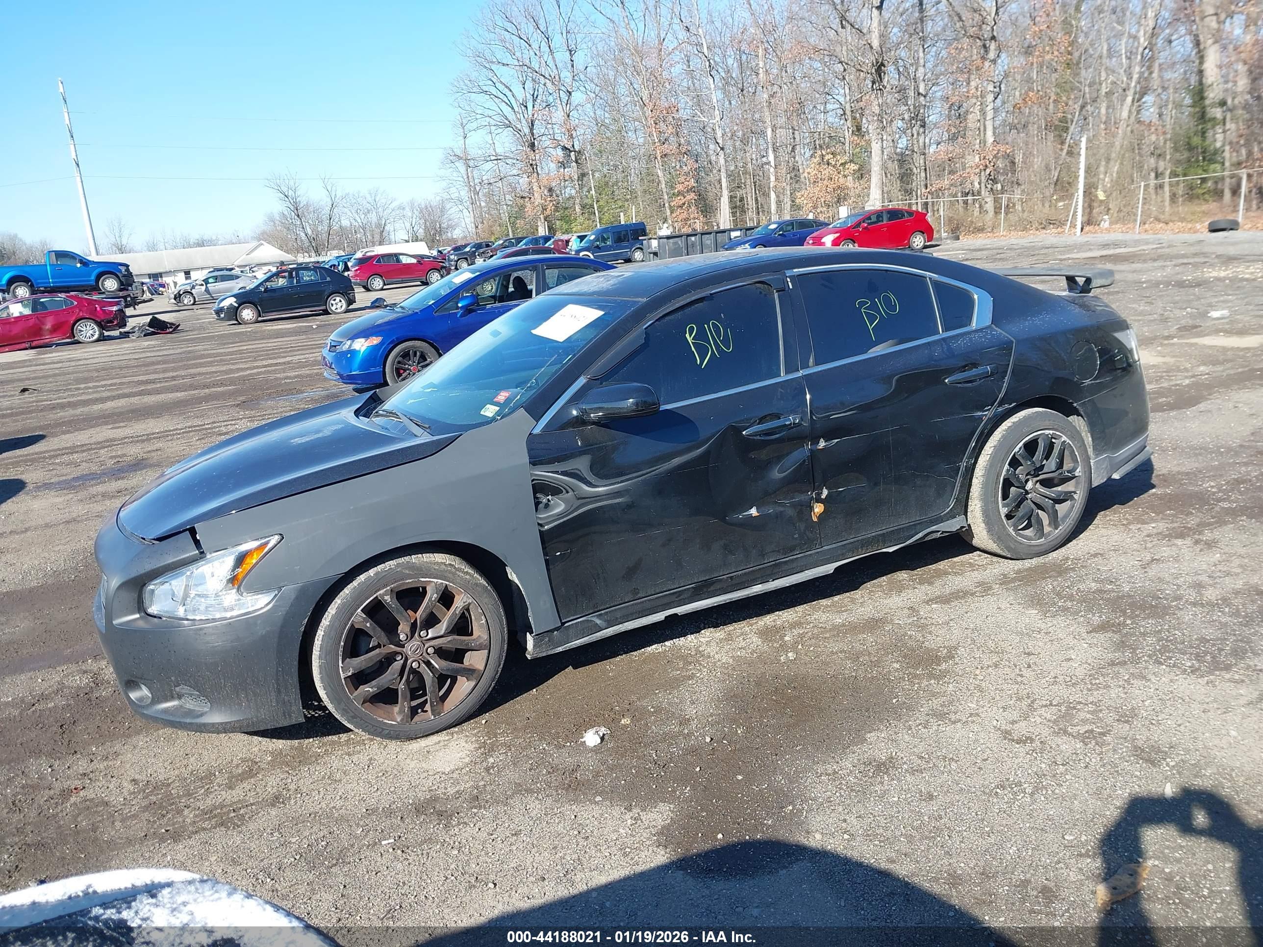 NISSAN MAXIMA image 2