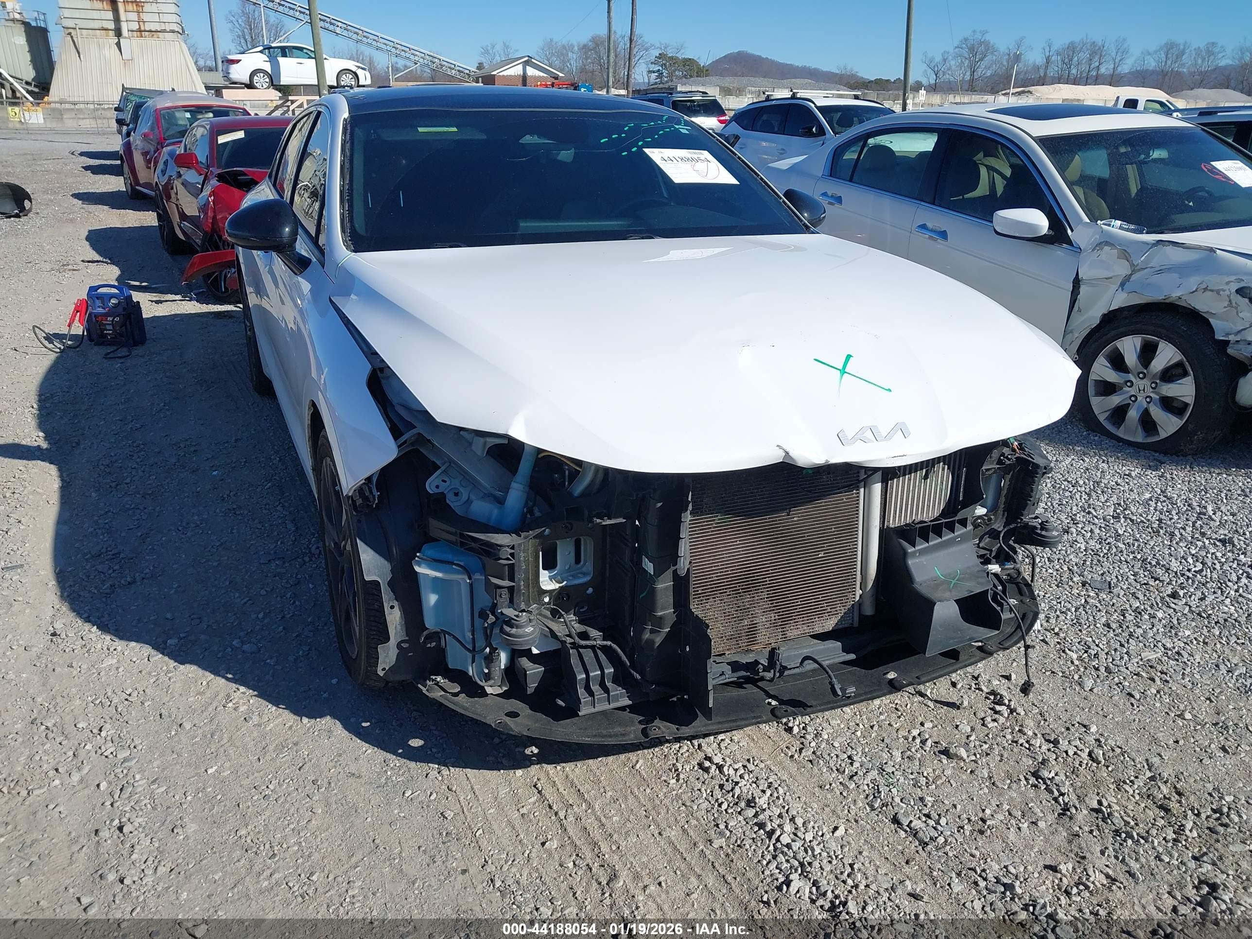 KIA K5 image 6
