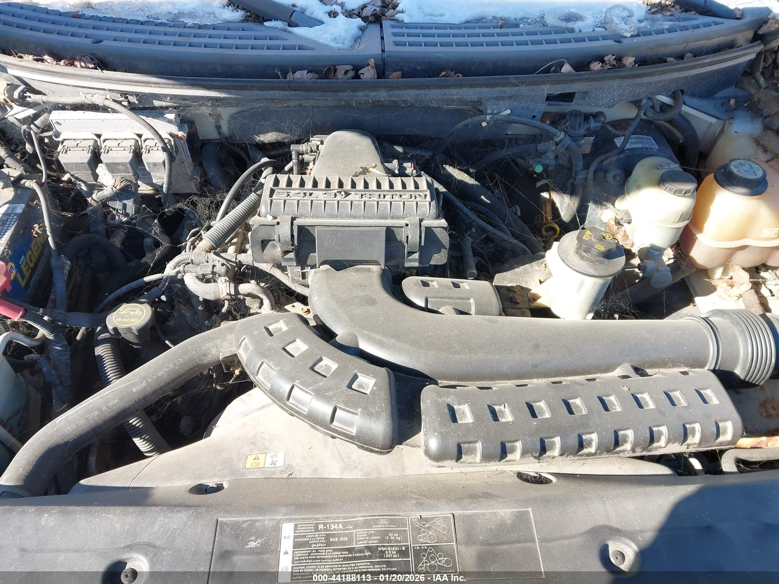 FORD F-150 image 10