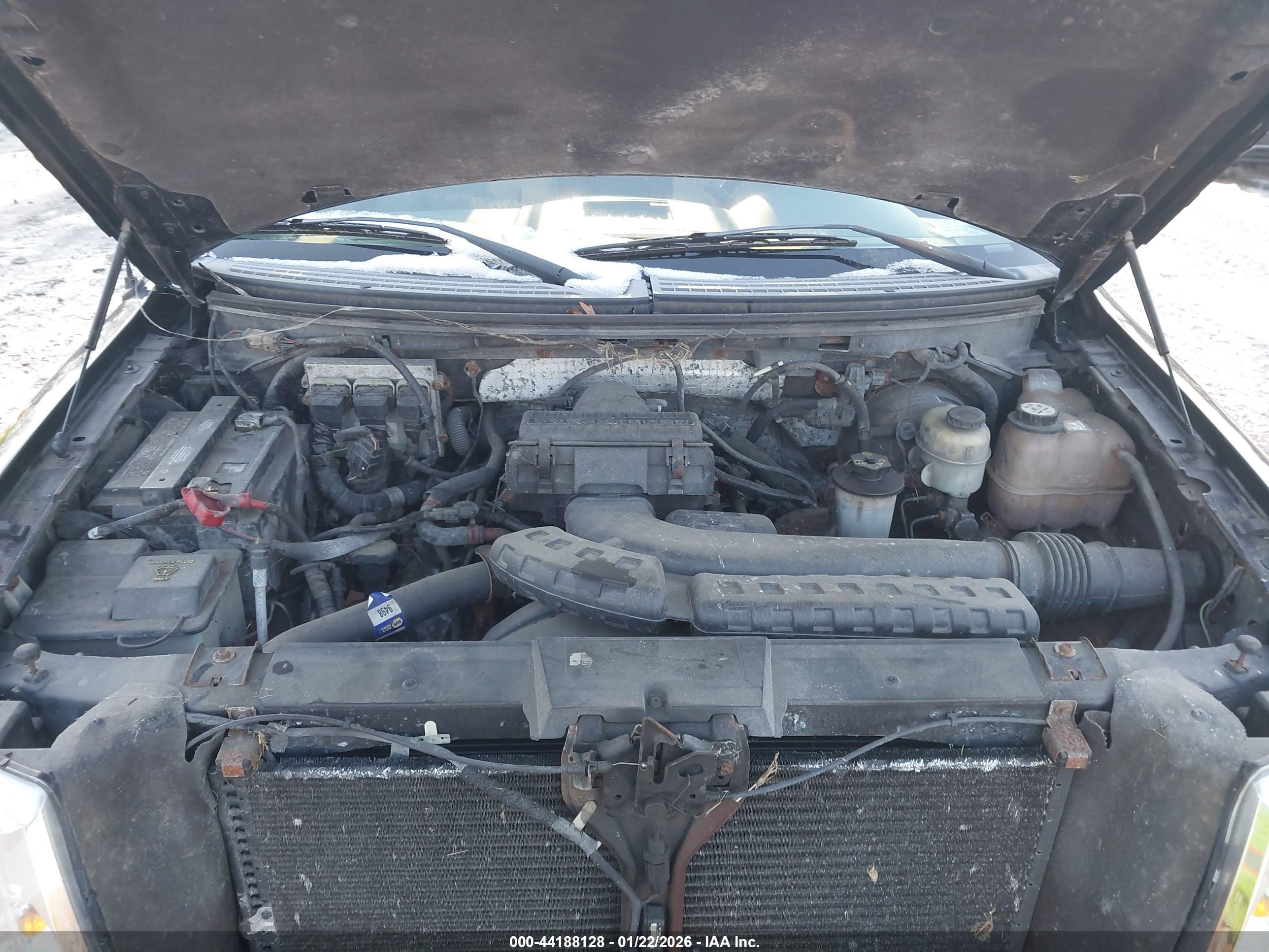 FORD F-150 image 10
