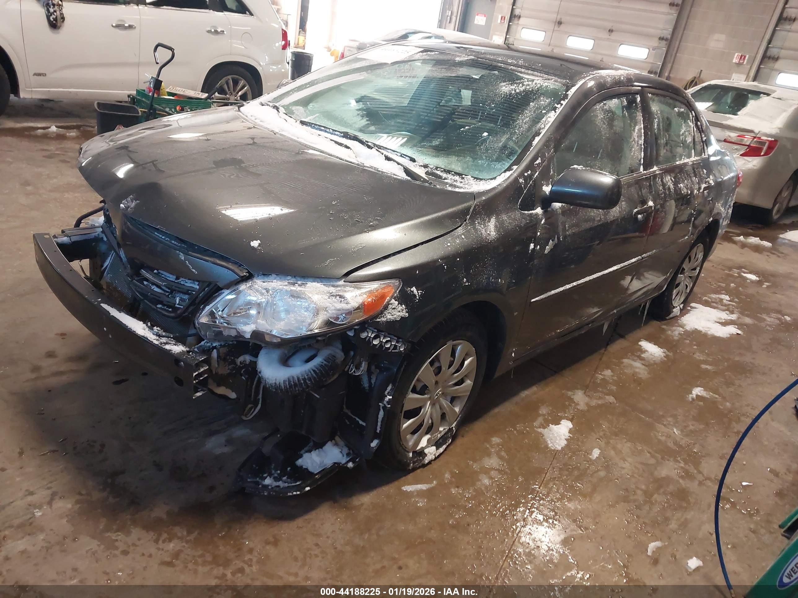 TOYOTA COROLLA image 2