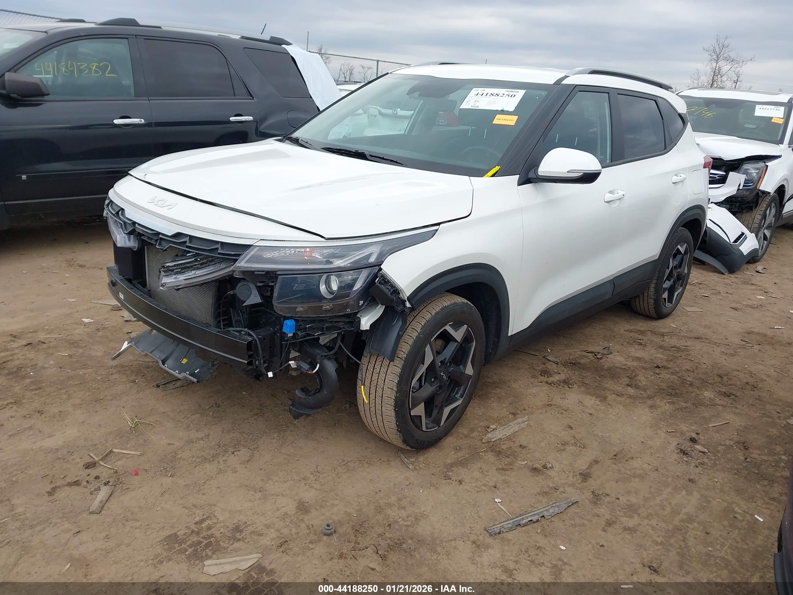 KIA SELTOS image 2