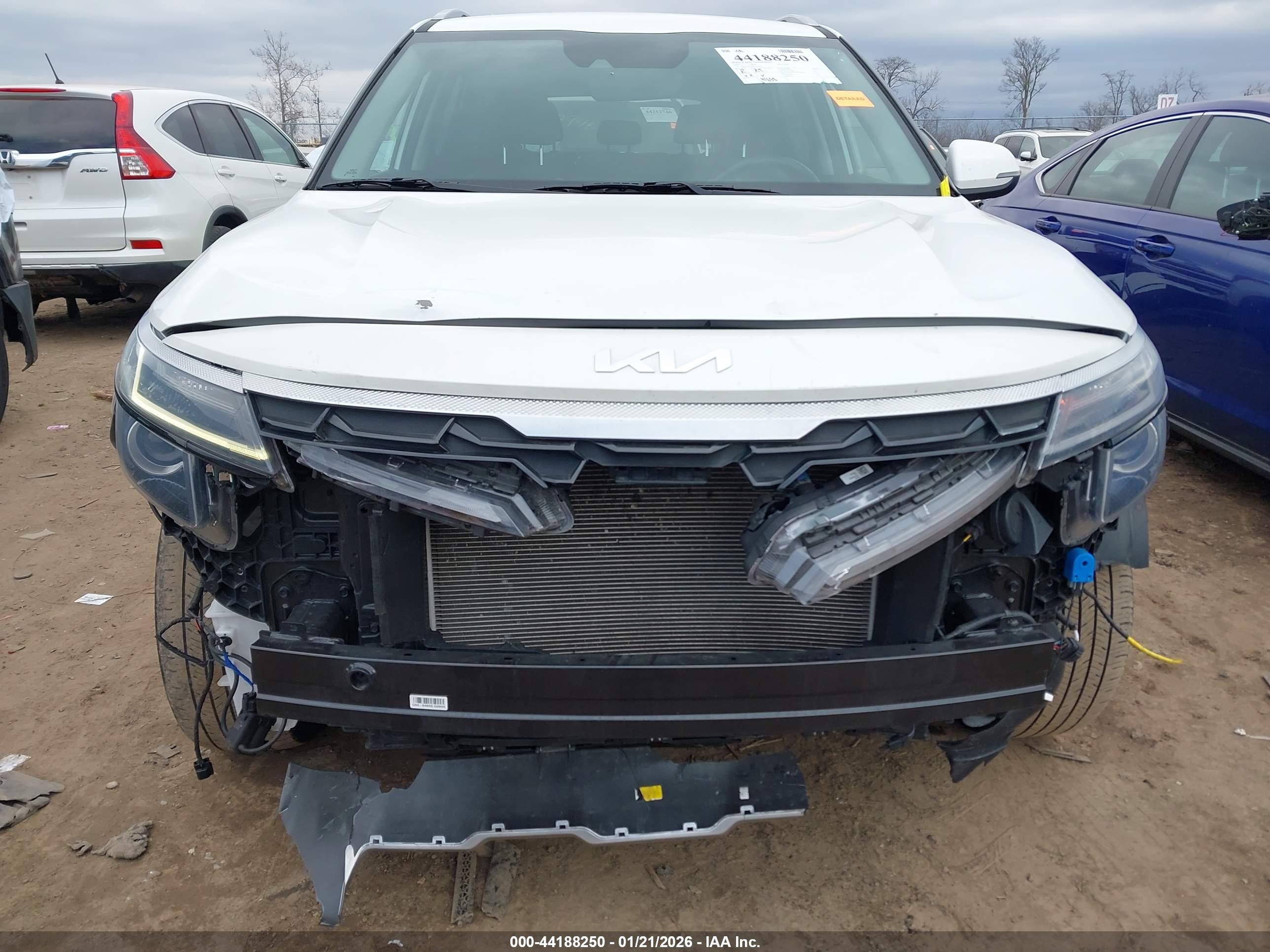 KIA SELTOS image 6