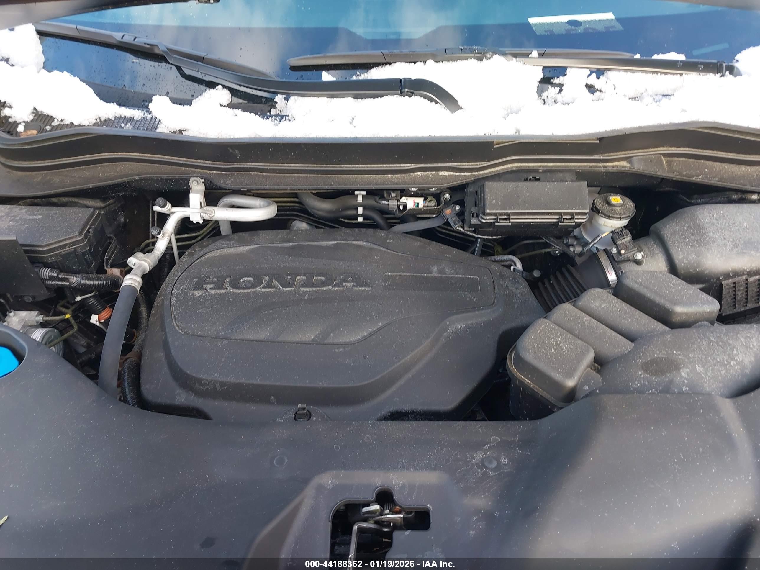 HONDA PASSPORT image 10
