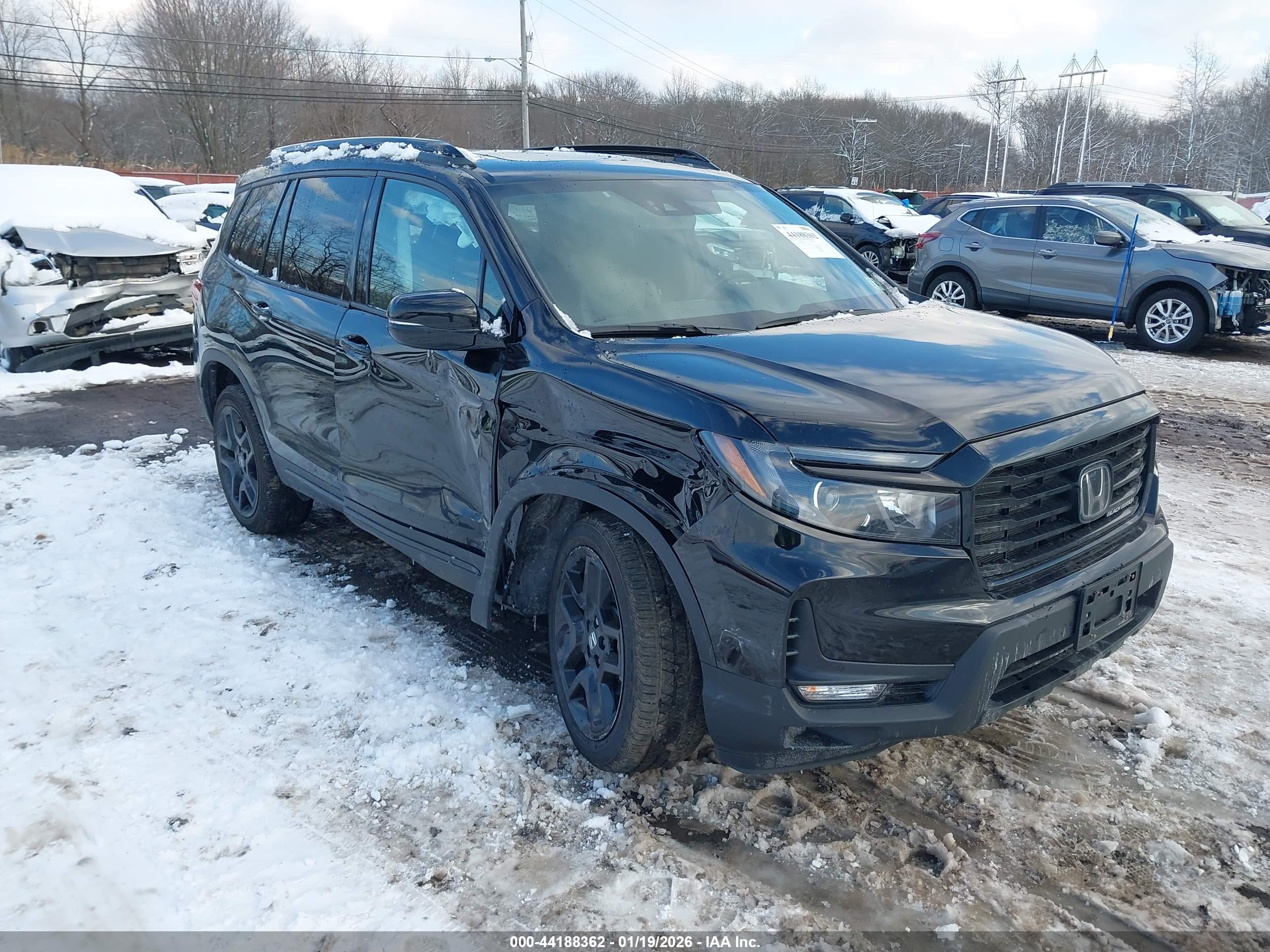 HONDA PASSPORT image 6