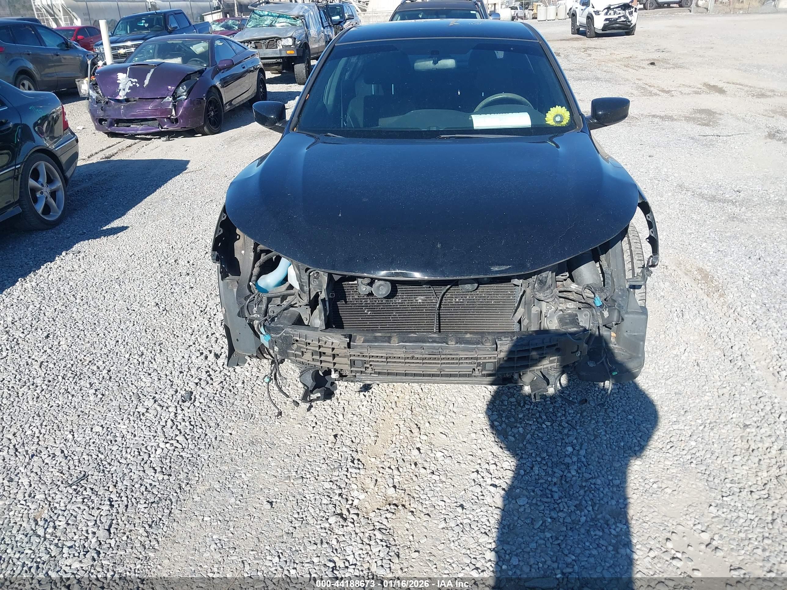 HONDA ACCORD image 6