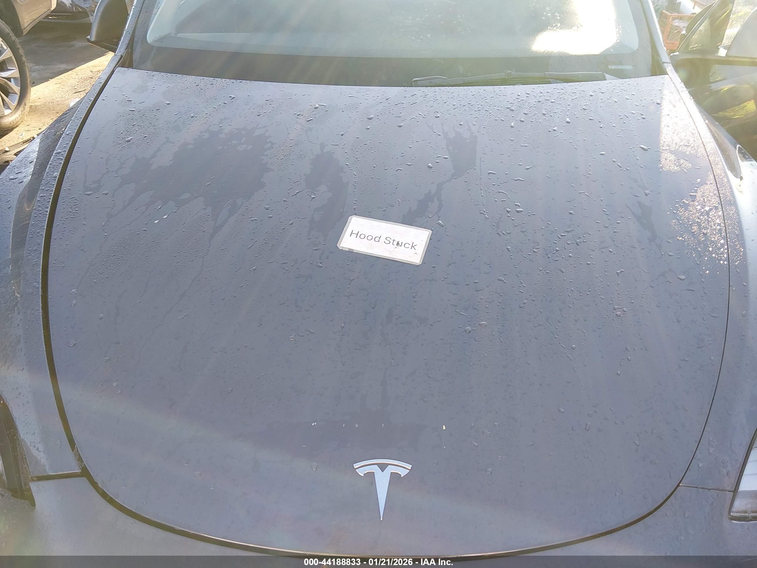 TESLA MODEL image 10