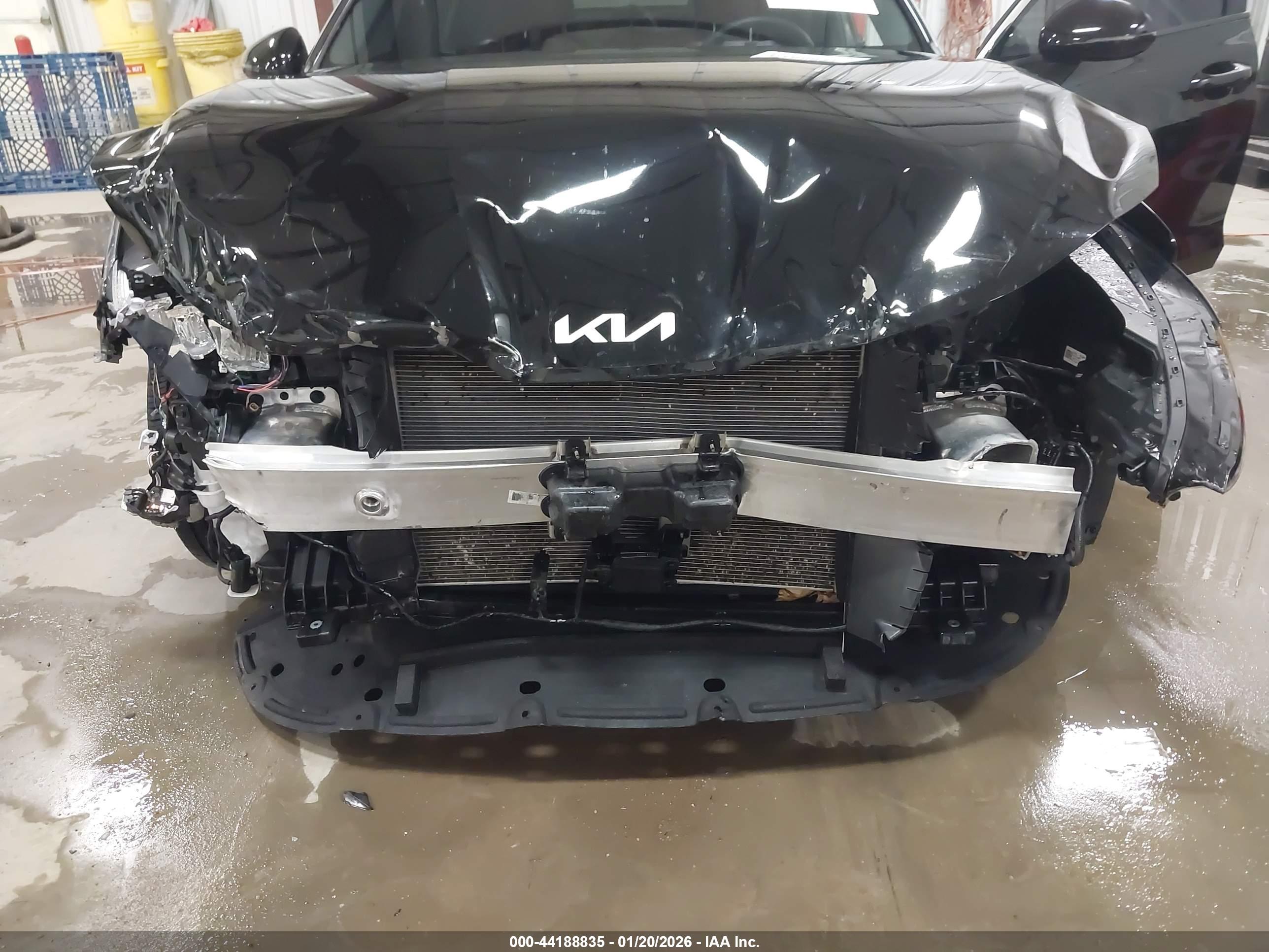 KIA K5 image 6