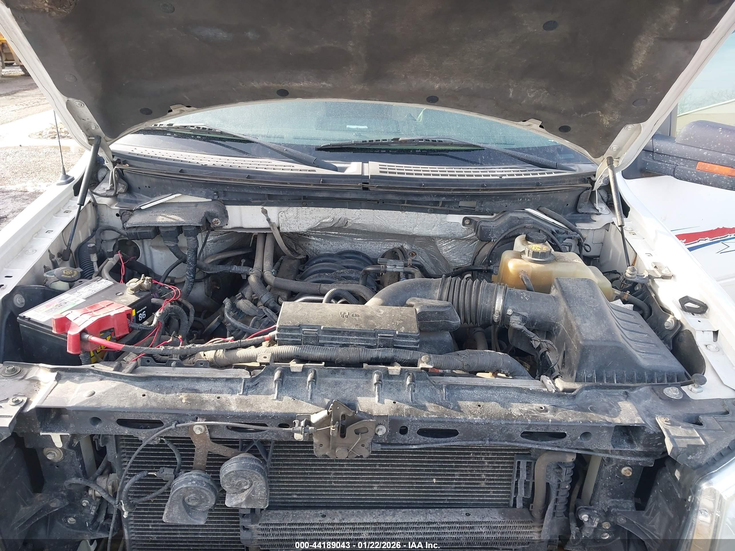 FORD F-150 image 10