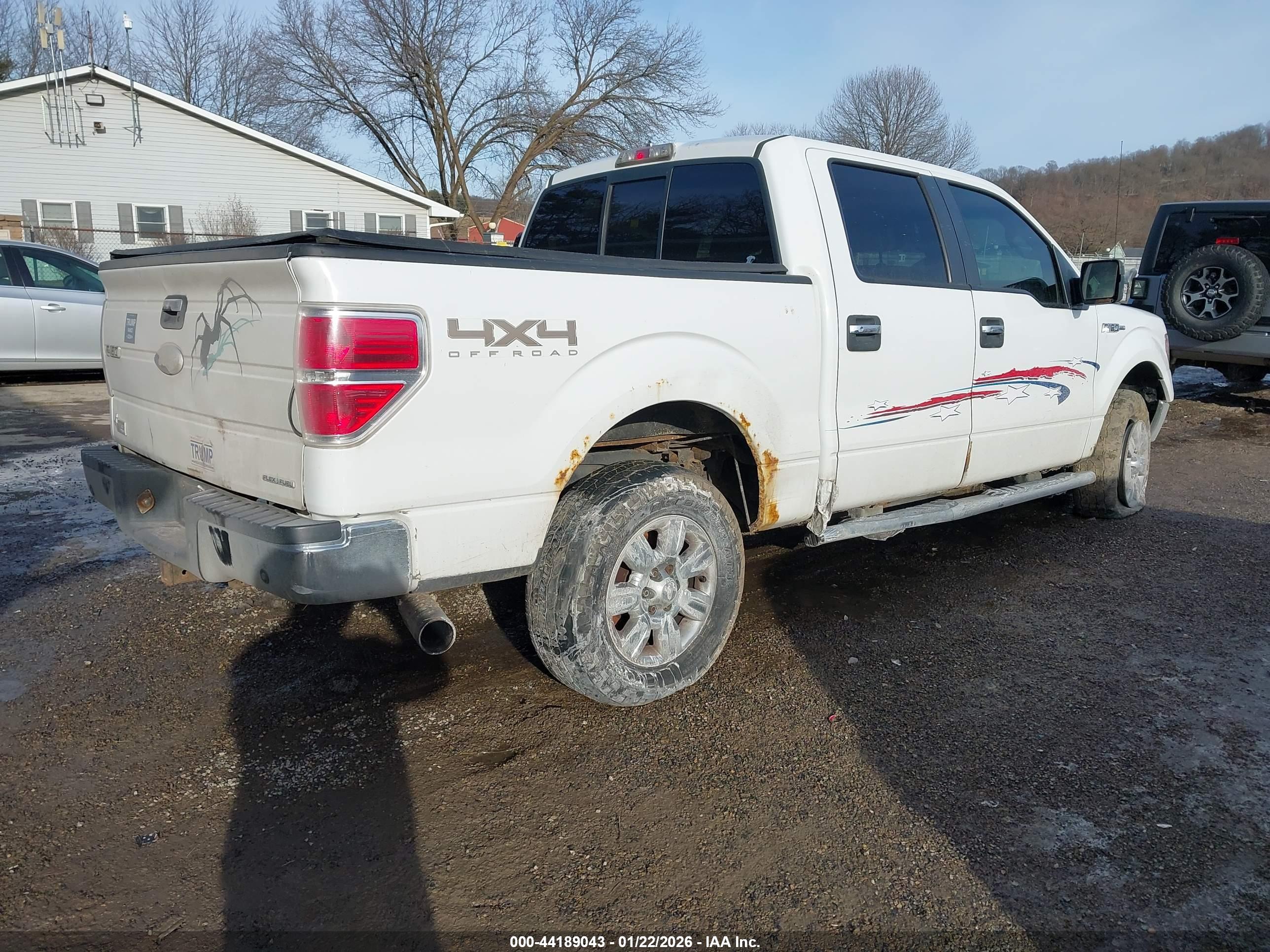 FORD F-150 image 4