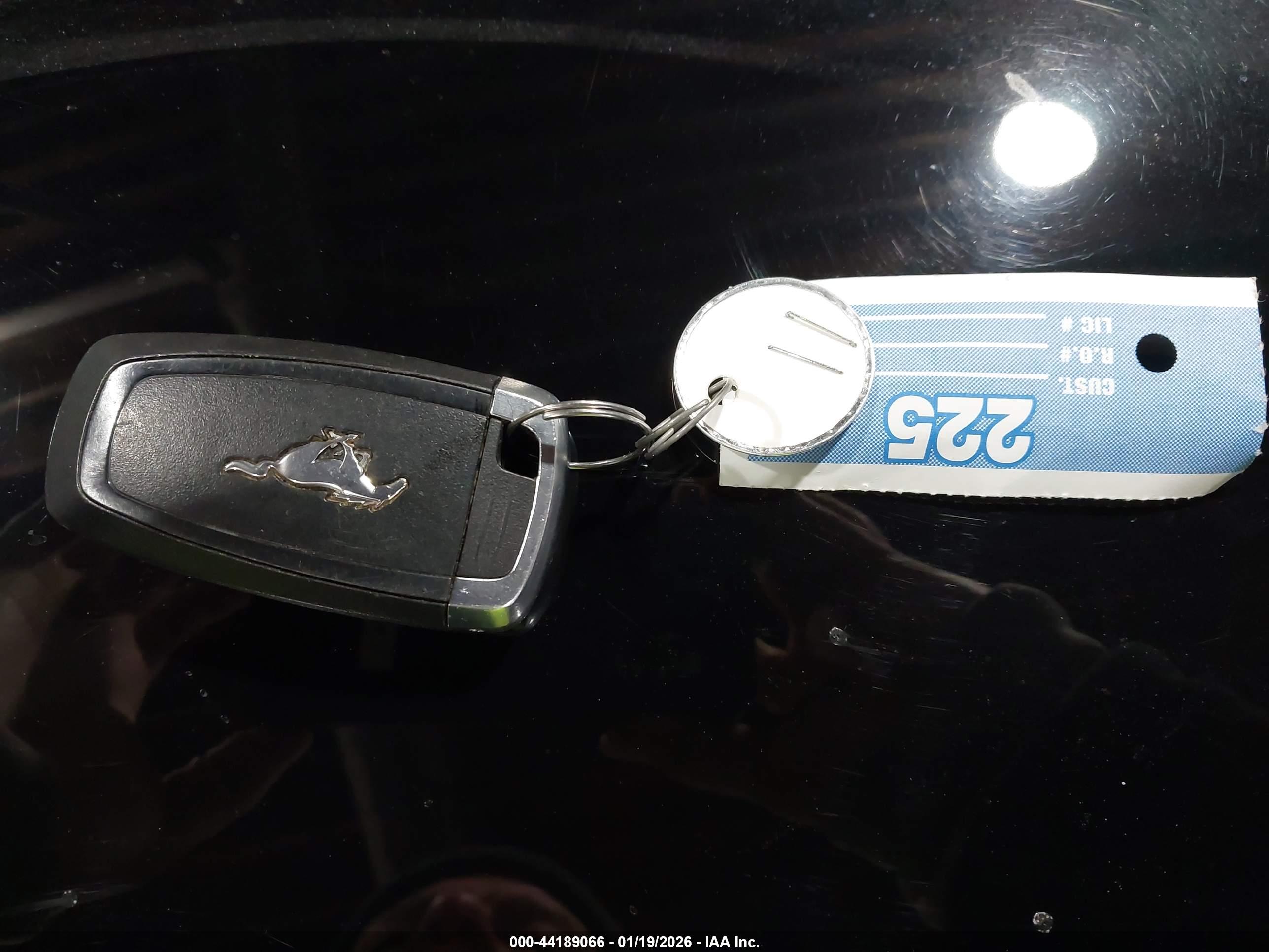 FORD MUSTANG image 11
