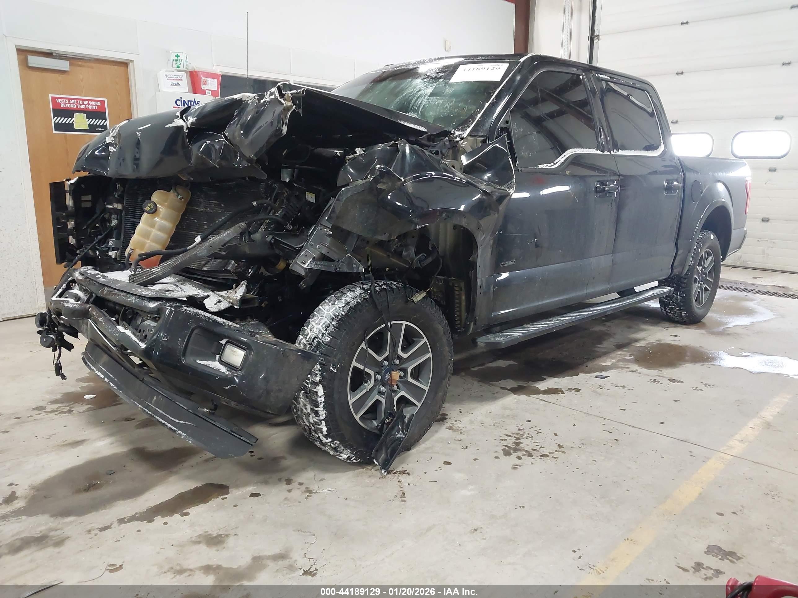 FORD F-150 image 2