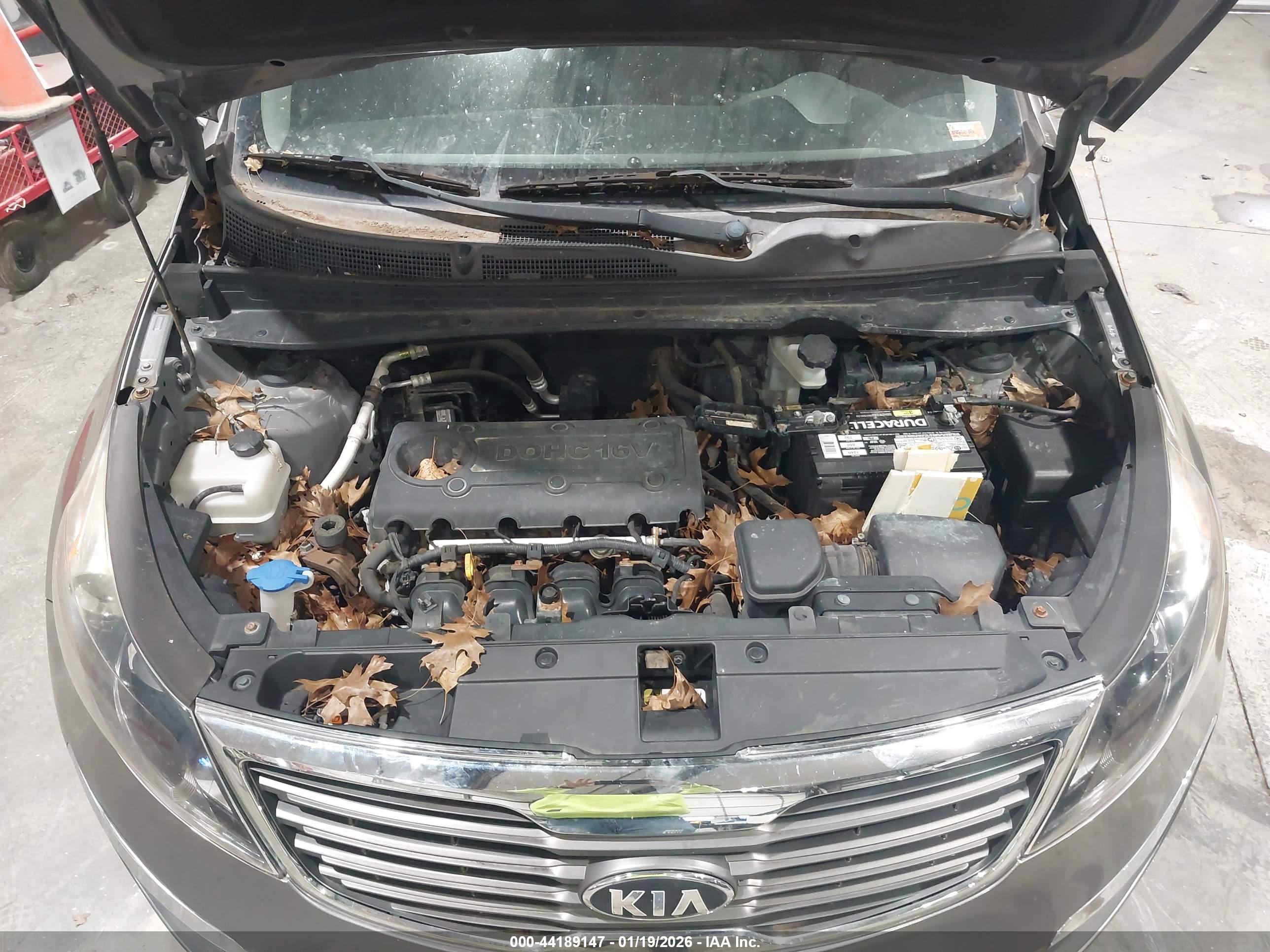 KIA SPORTAGE image 10