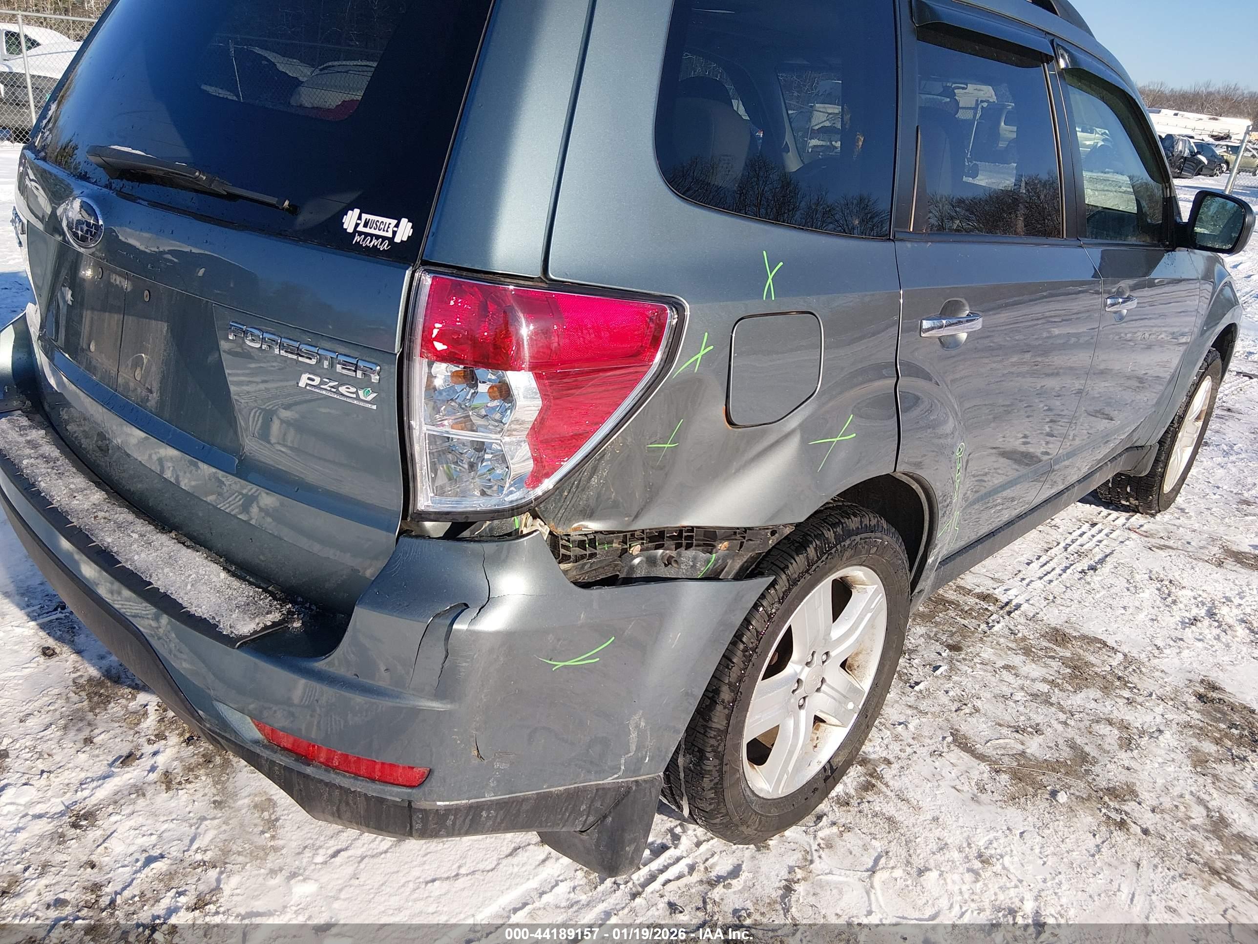 SUBARU FORESTER image 6
