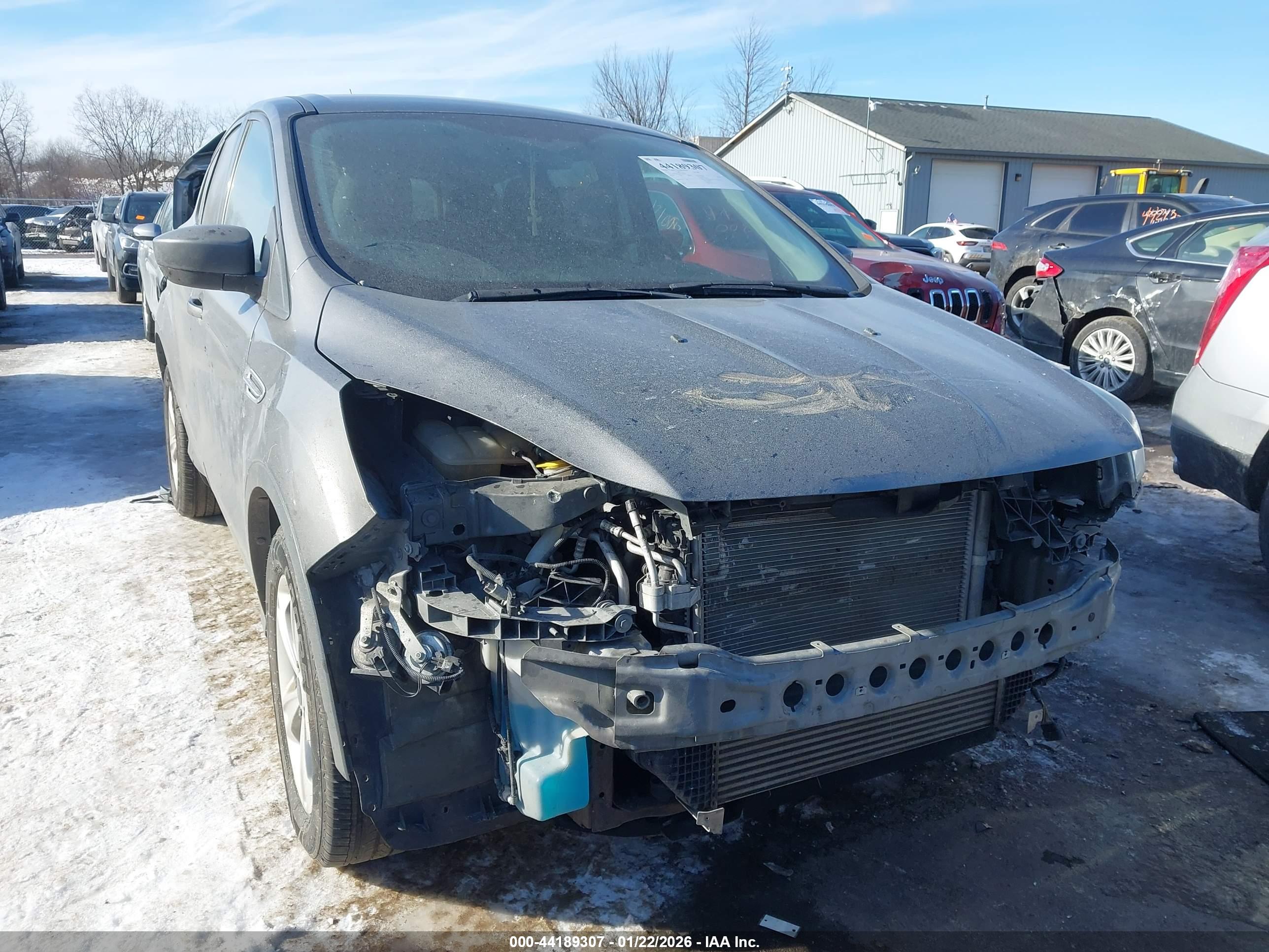 FORD ESCAPE image 6